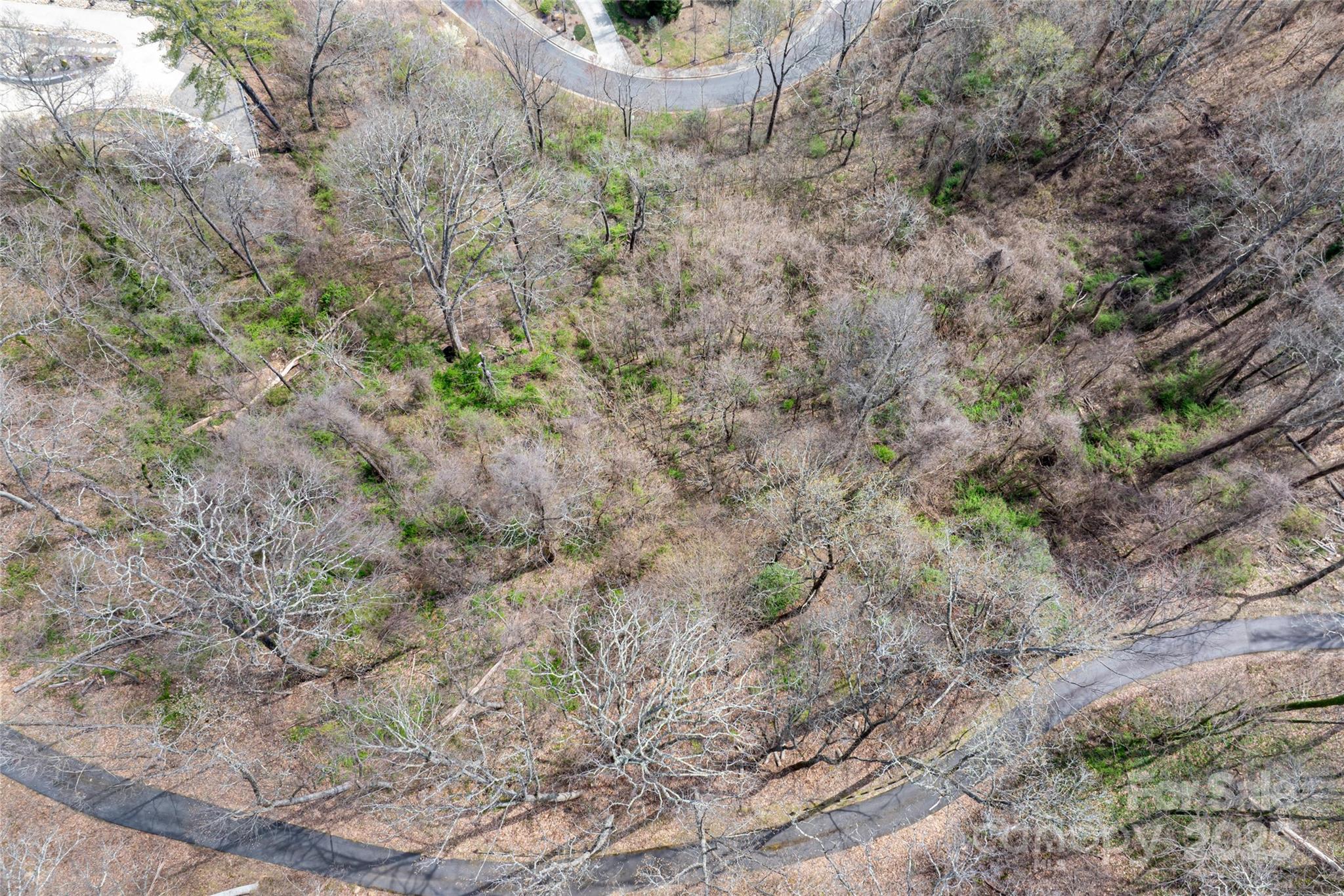 12 Grovepoint Way Property Photo 11