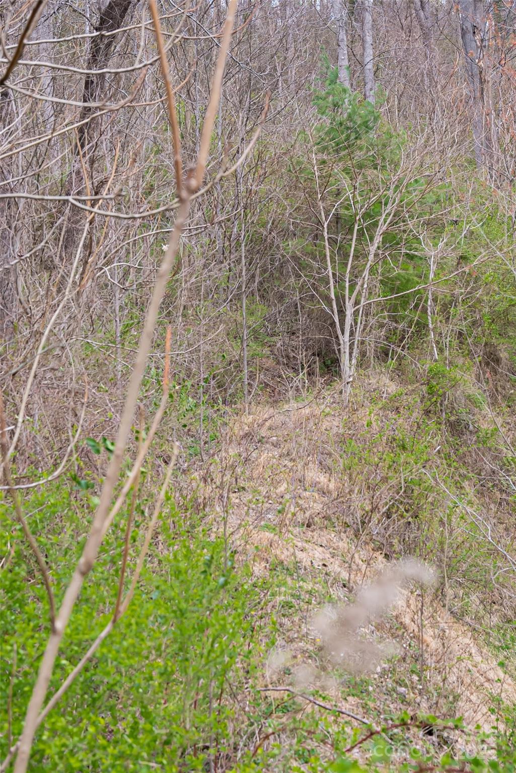 12 Grovepoint Way Property Photo 17