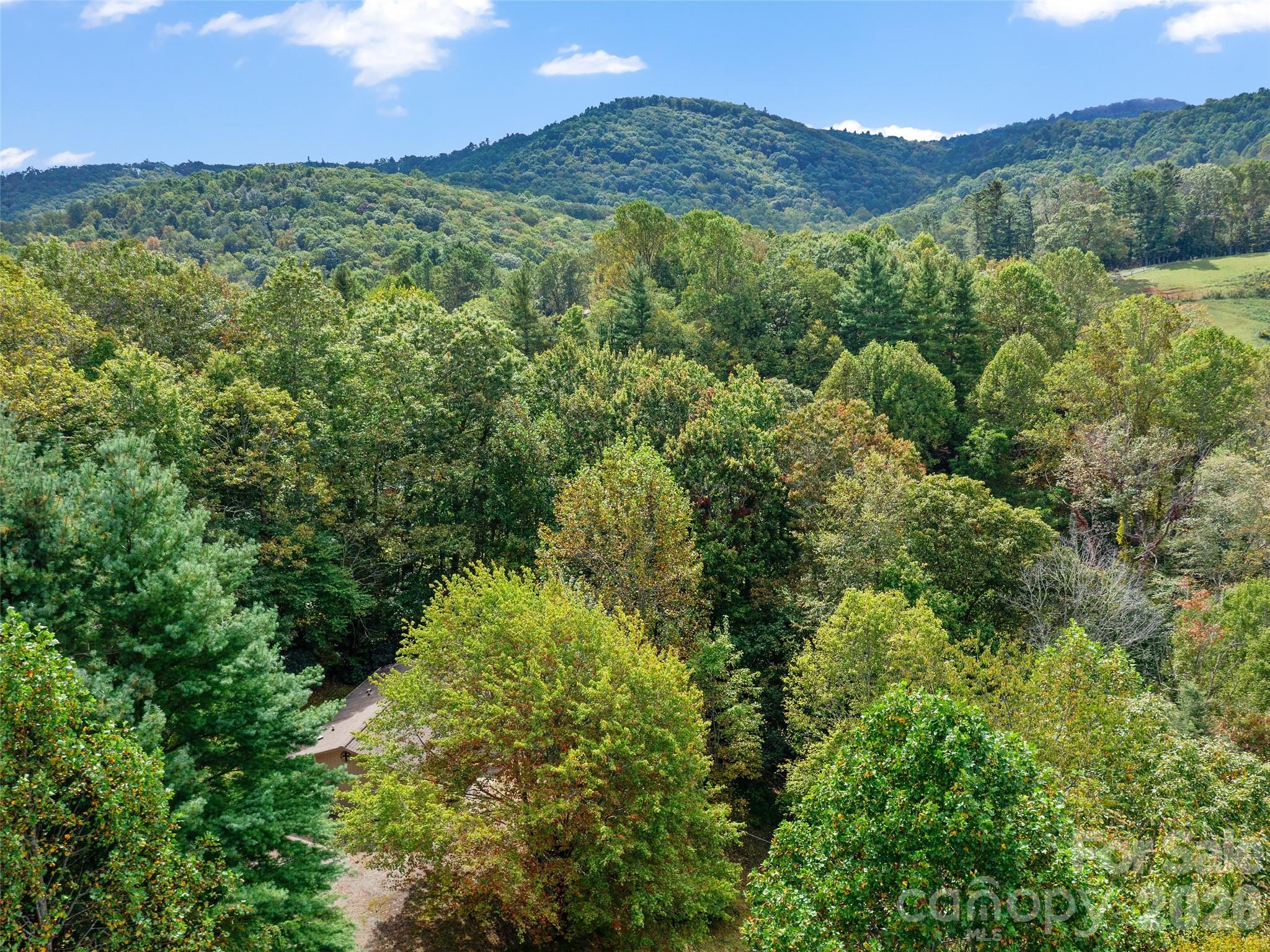 158 Dover Lane Property Photo 21