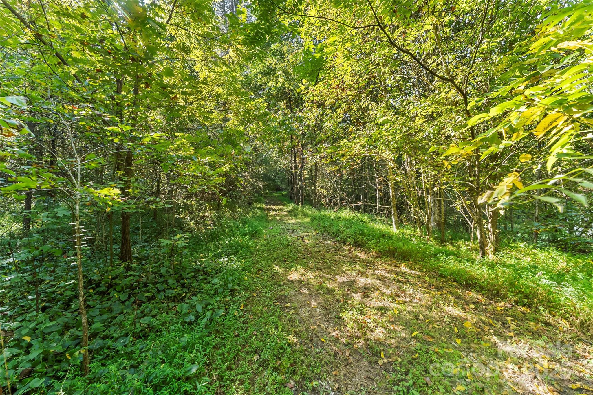 719 & 899 Mchone Drive Property Photo 13