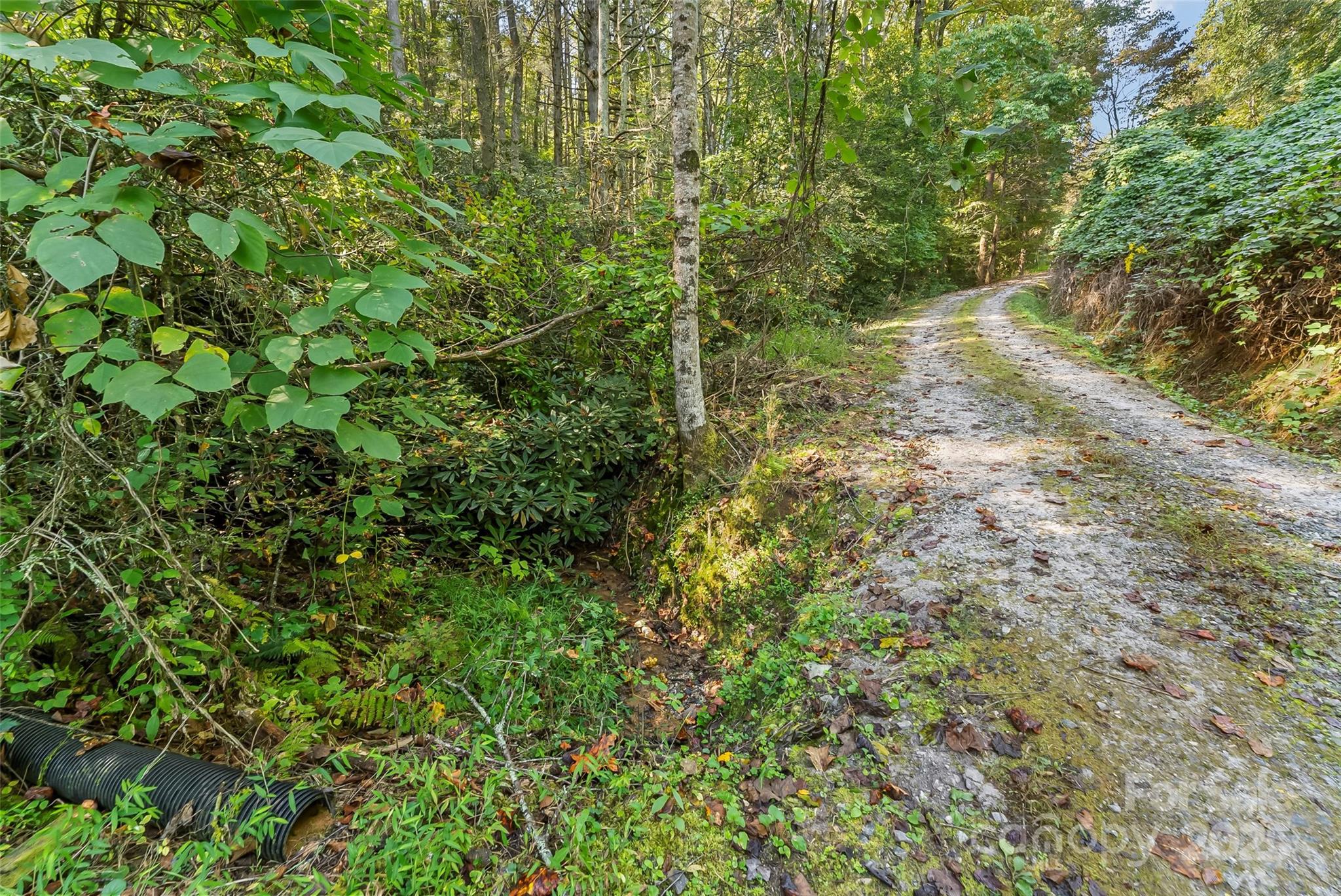 719 & 899 Mchone Drive Property Photo 18