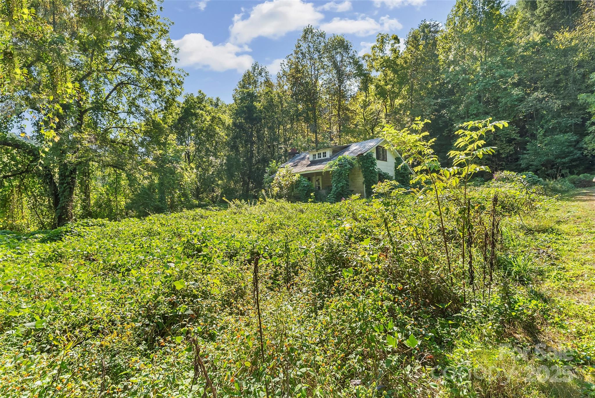 719 & 899 Mchone Drive Property Photo 20