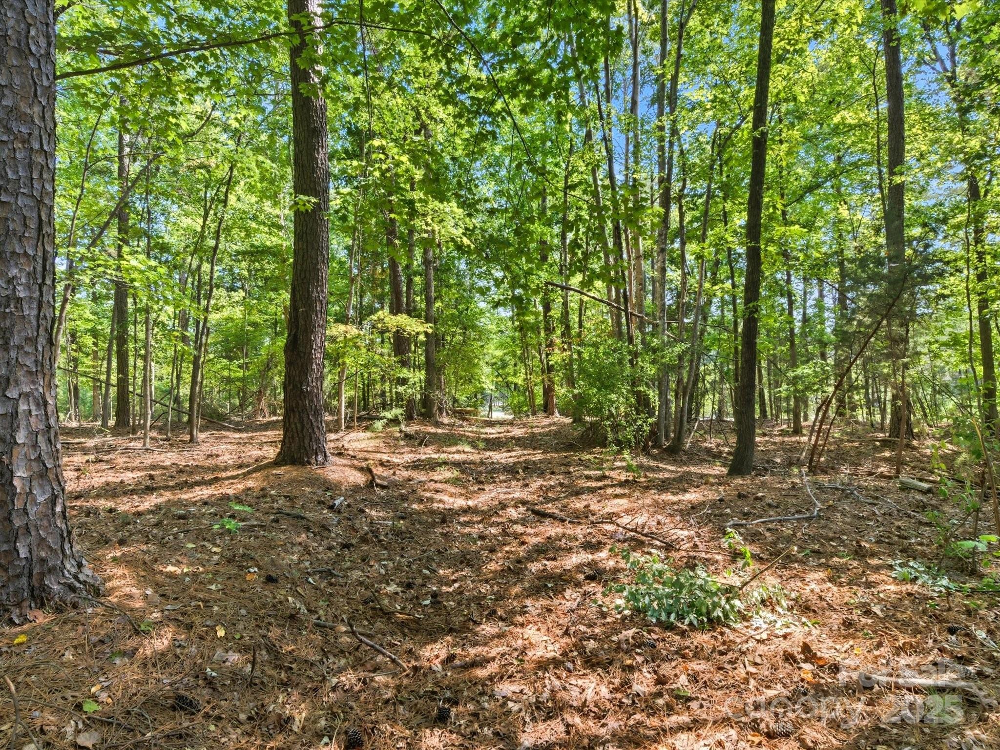 6860 Pine Moss Lane 1 Property Photo 6