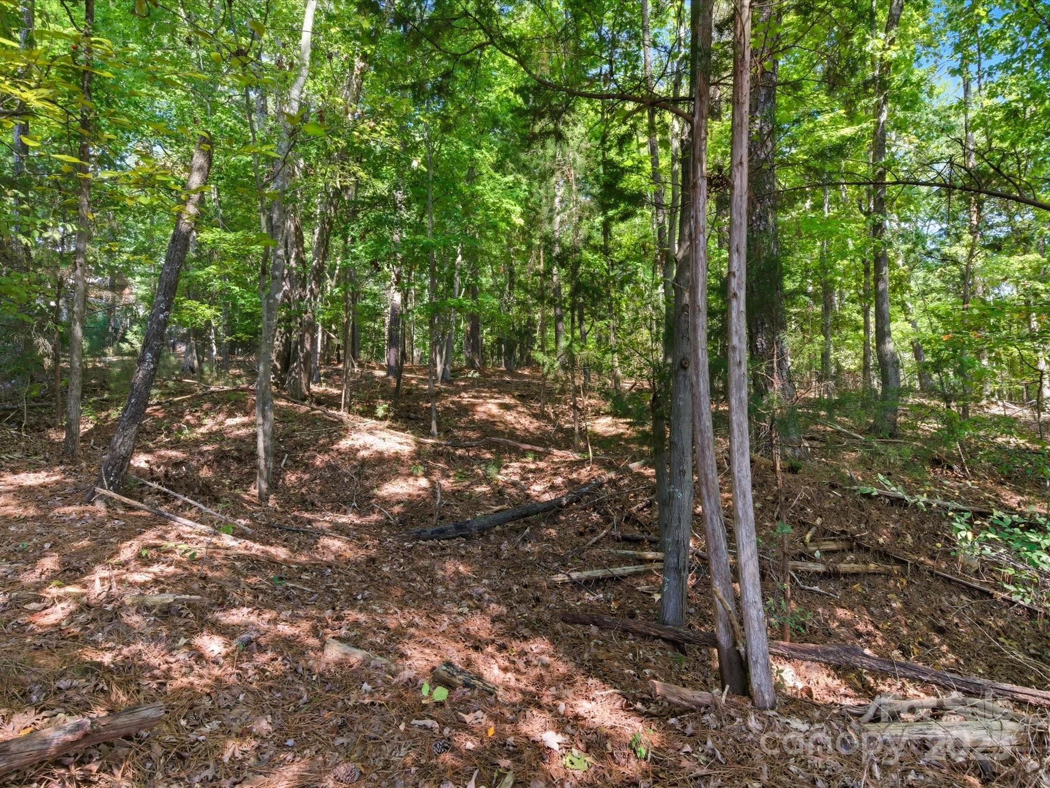 6860 Pine Moss Lane 1 Property Photo 7