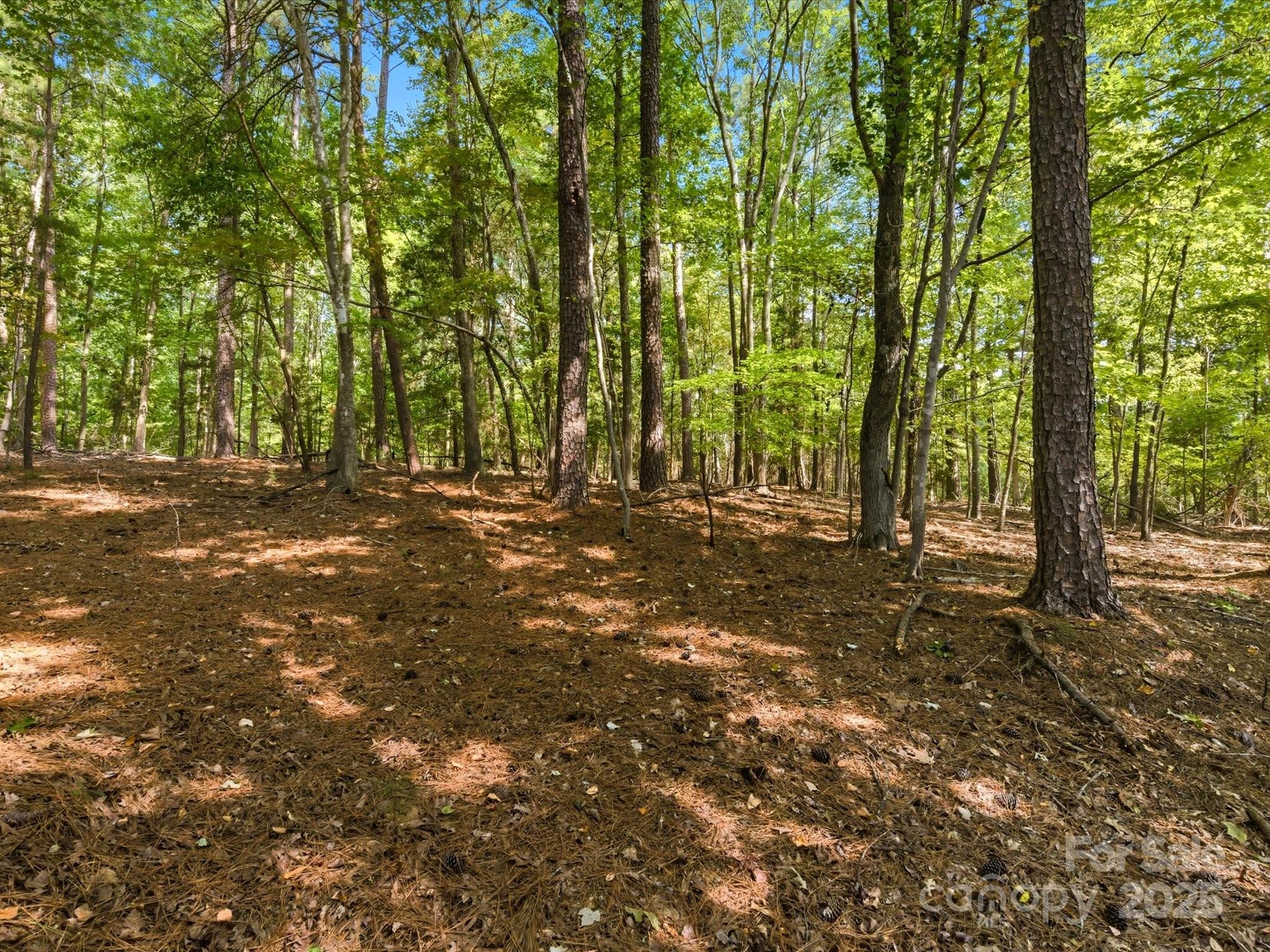 6860 Pine Moss Lane 1 Property Photo 8