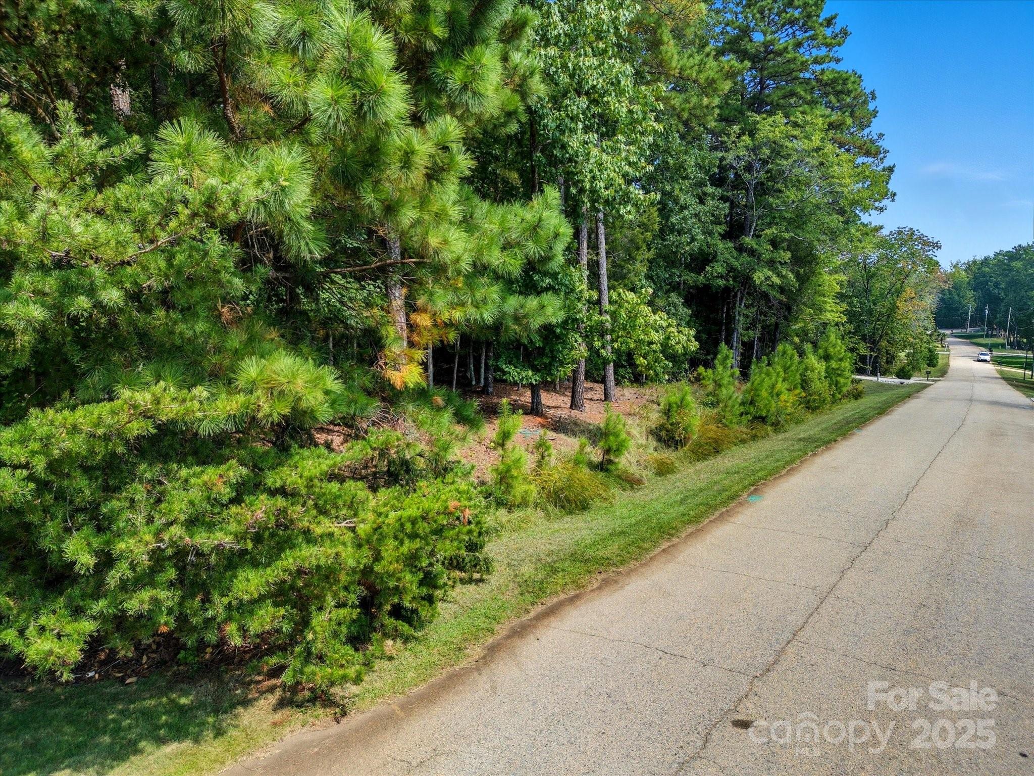 6860 Pine Moss Lane 1 Property Photo 11