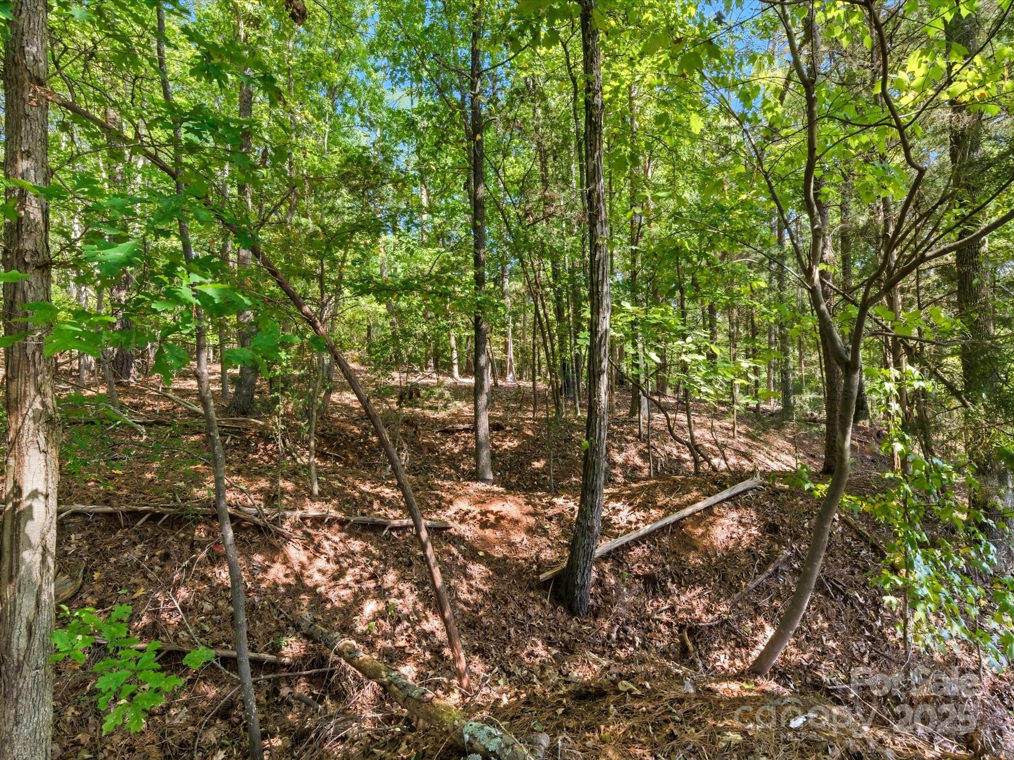 6860 Pine Moss Lane 1 Property Photo 27