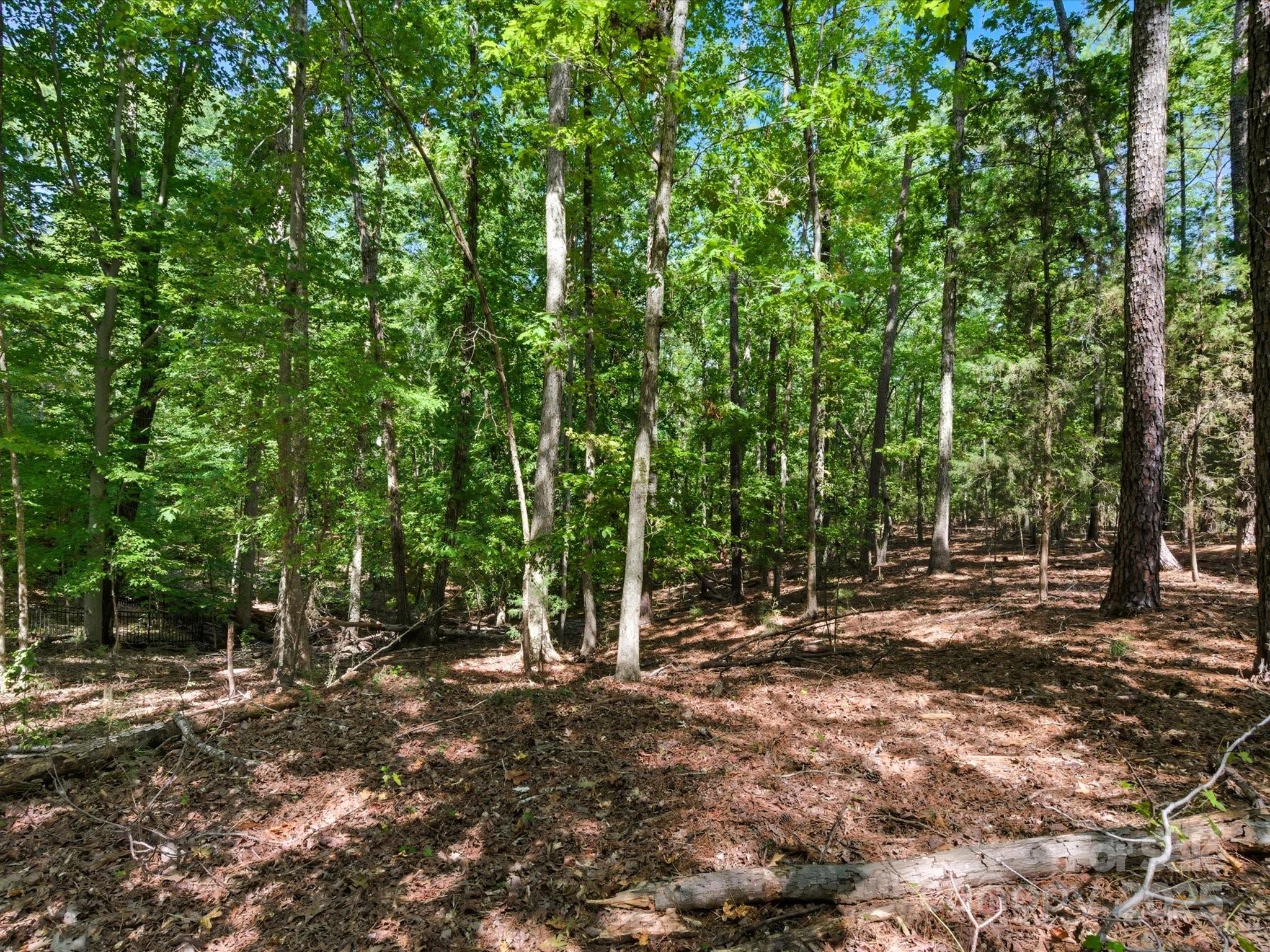 6860 Pine Moss Lane 1 Property Photo 28