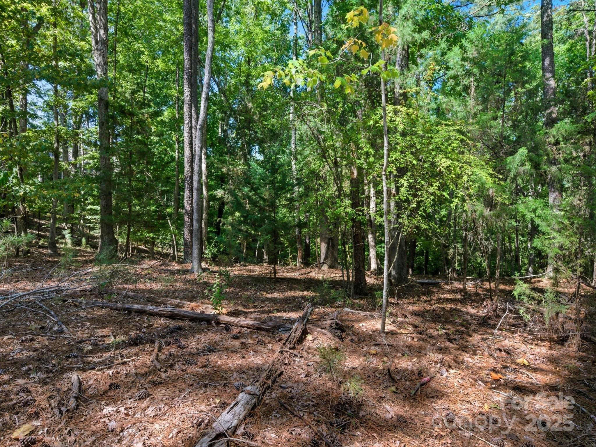 6860 Pine Moss Lane 1 Property Photo 29