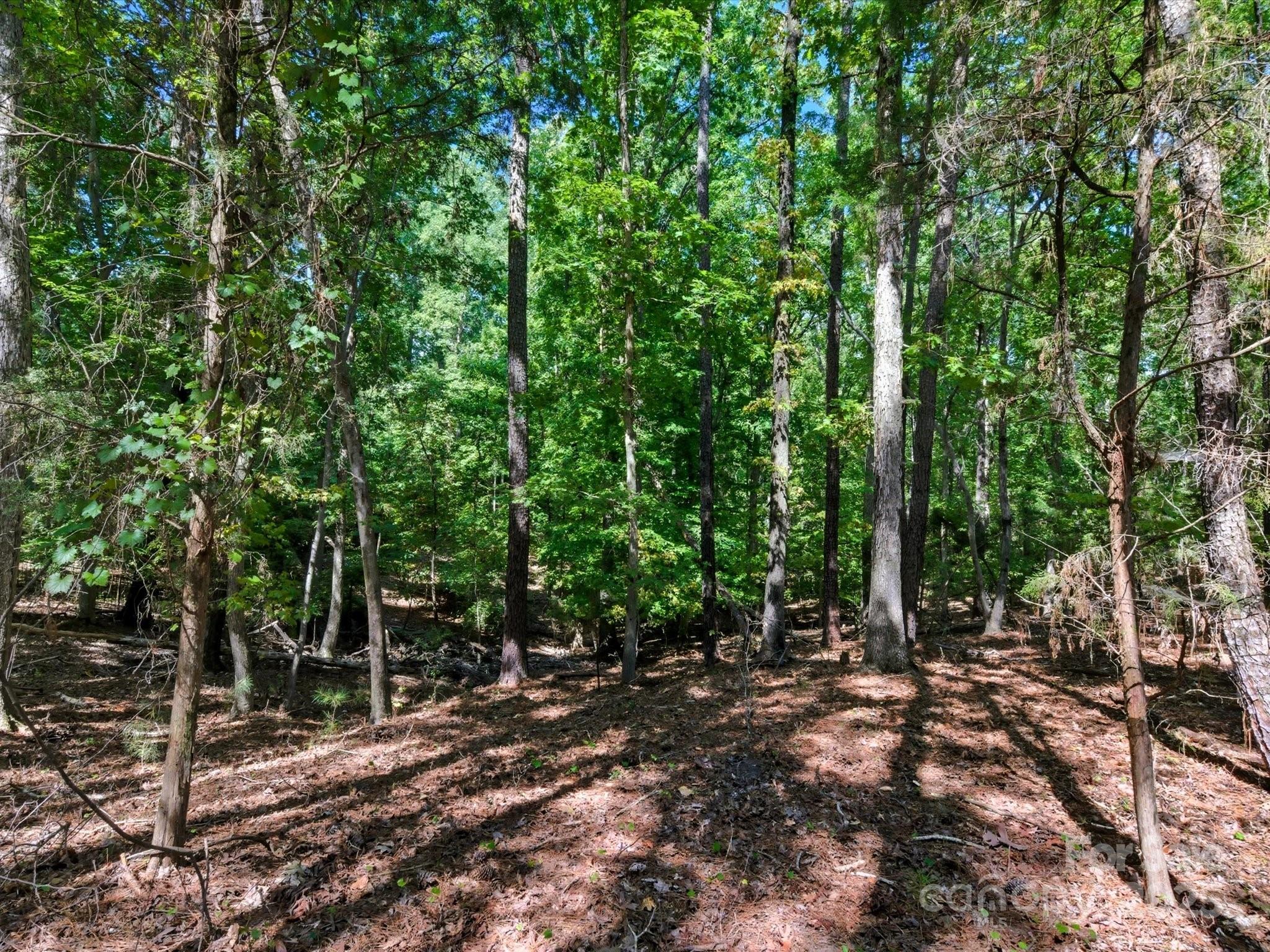 6860 Pine Moss Lane 1 Property Photo 30