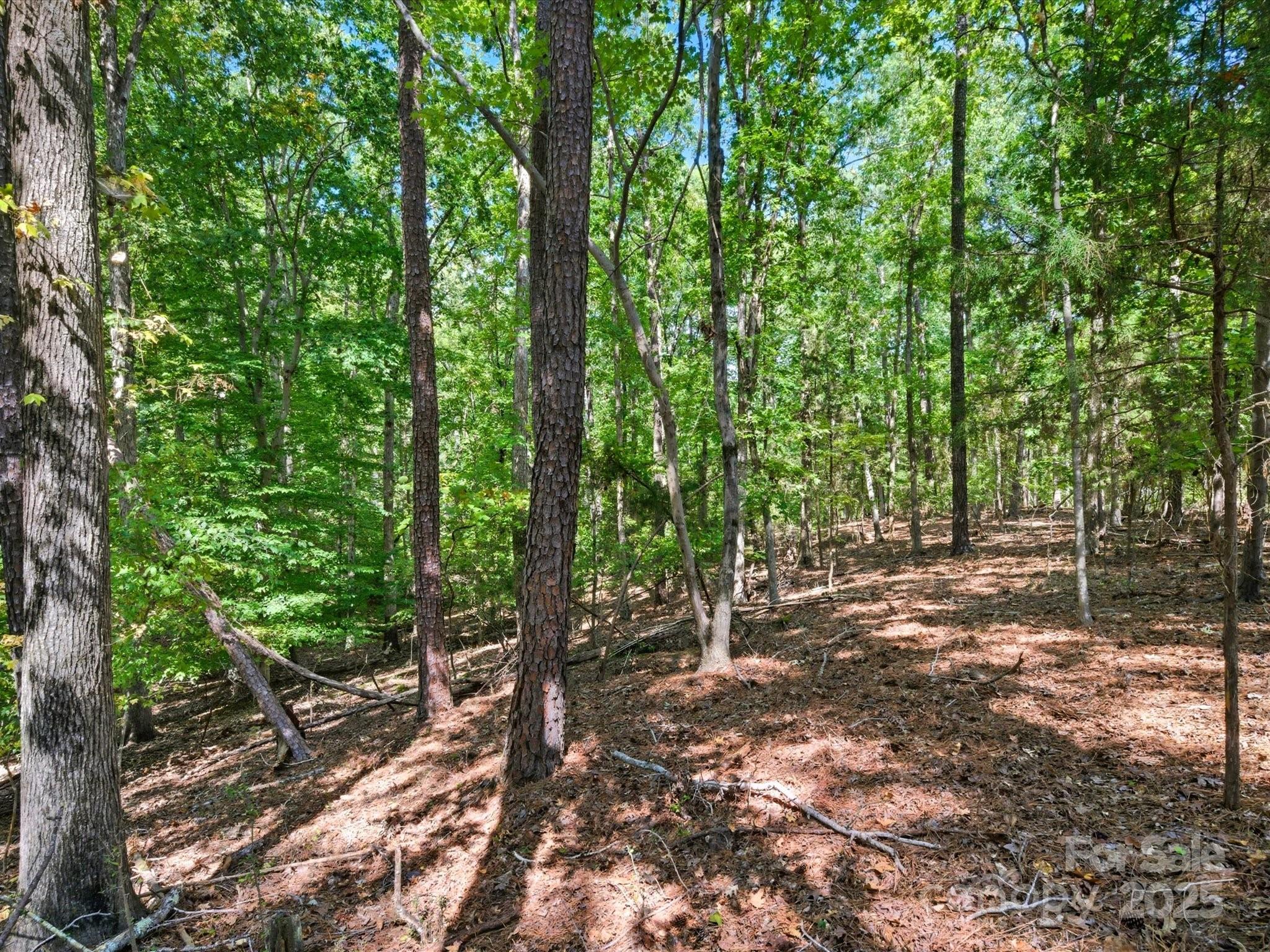 6860 Pine Moss Lane 1 Property Photo 31