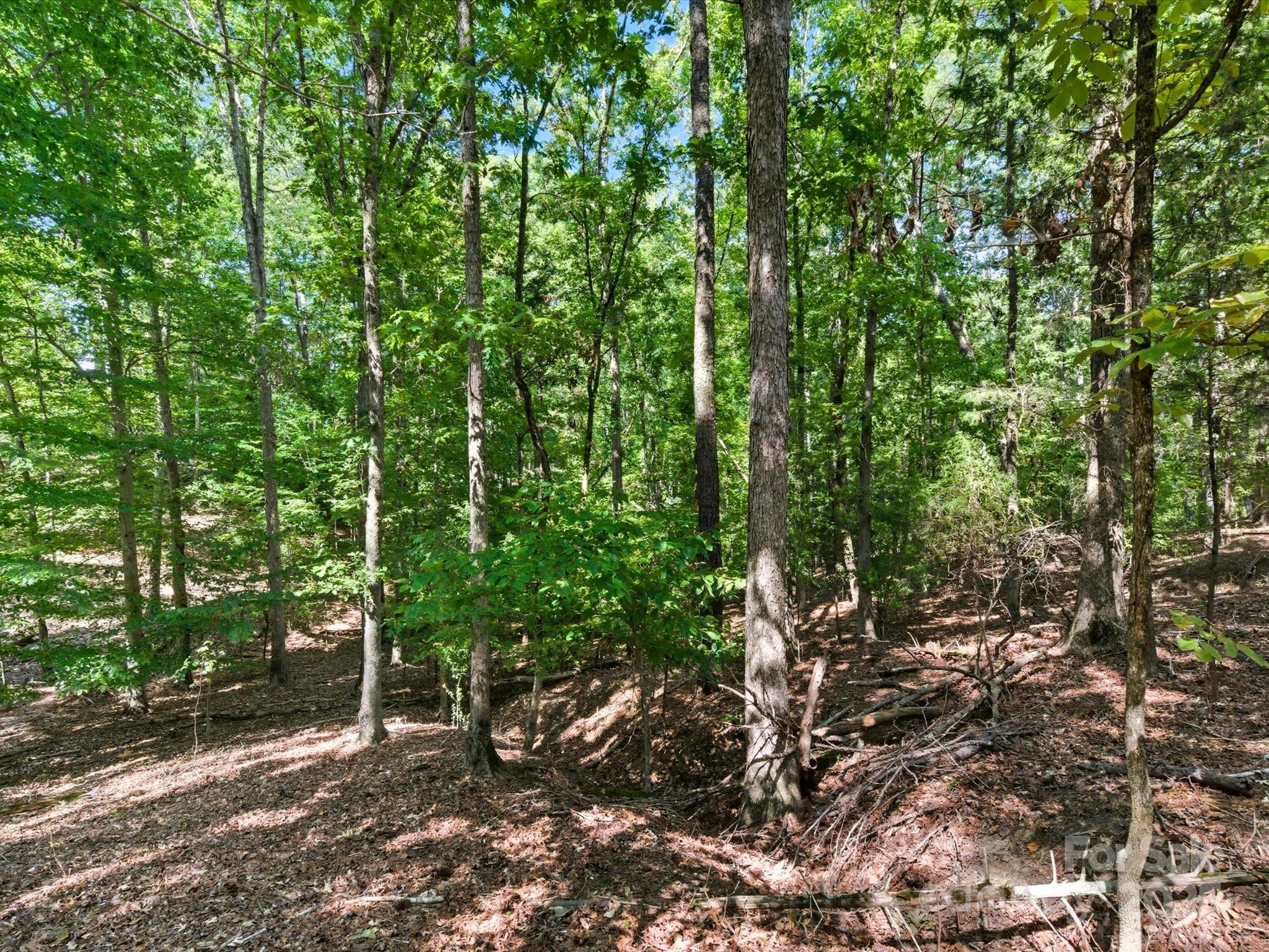 6860 Pine Moss Lane 1 Property Photo 32