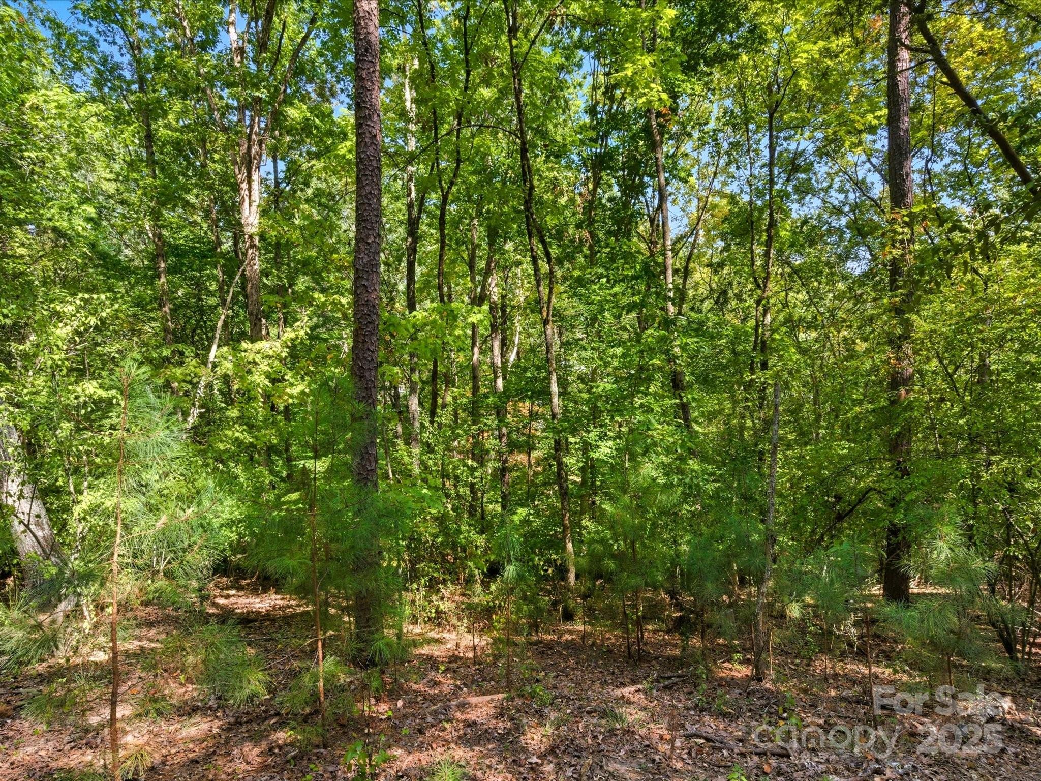 6860 Pine Moss Lane 1 Property Photo 33