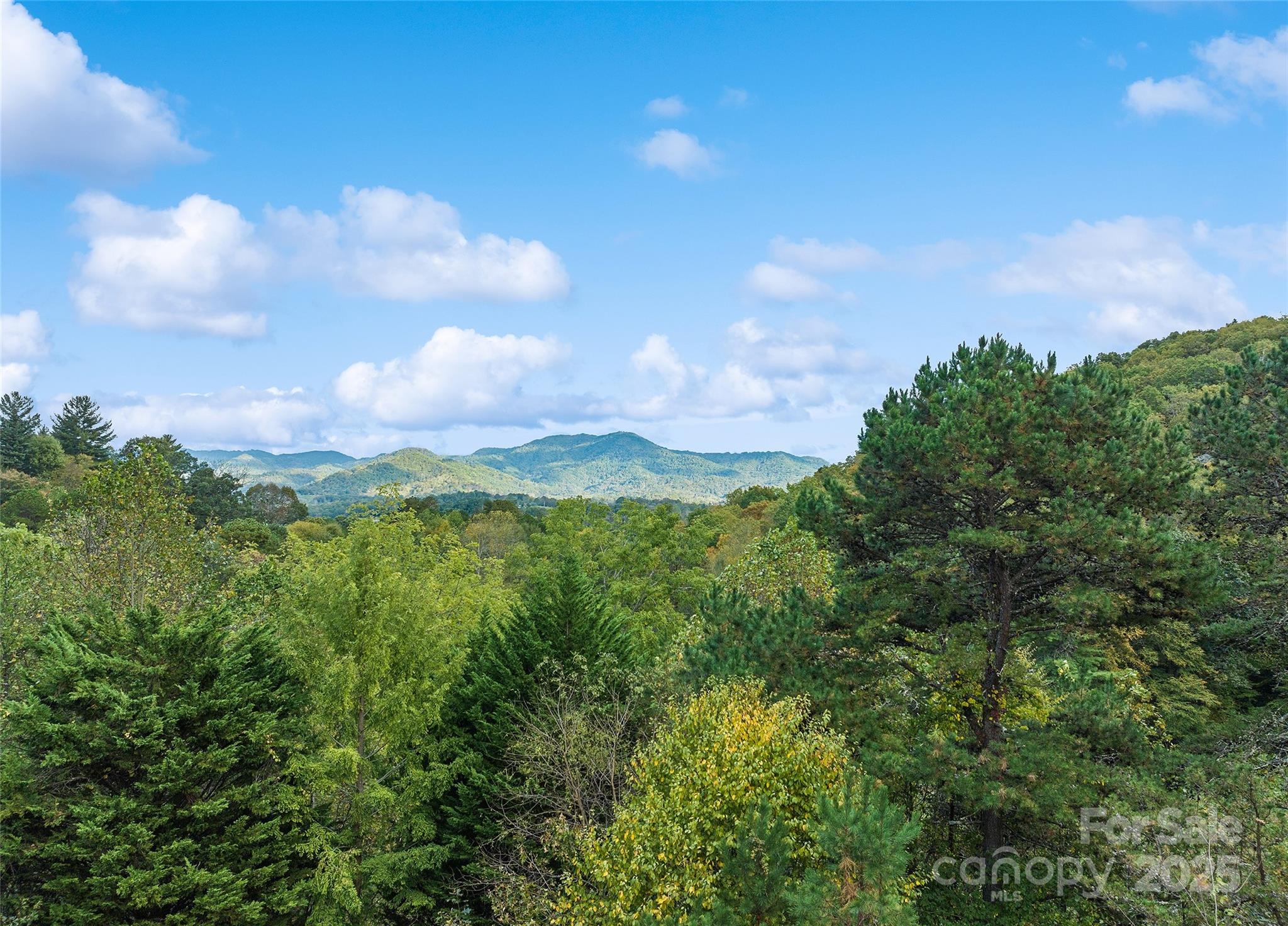 966 Coyote Hollow Road Property Photo 3