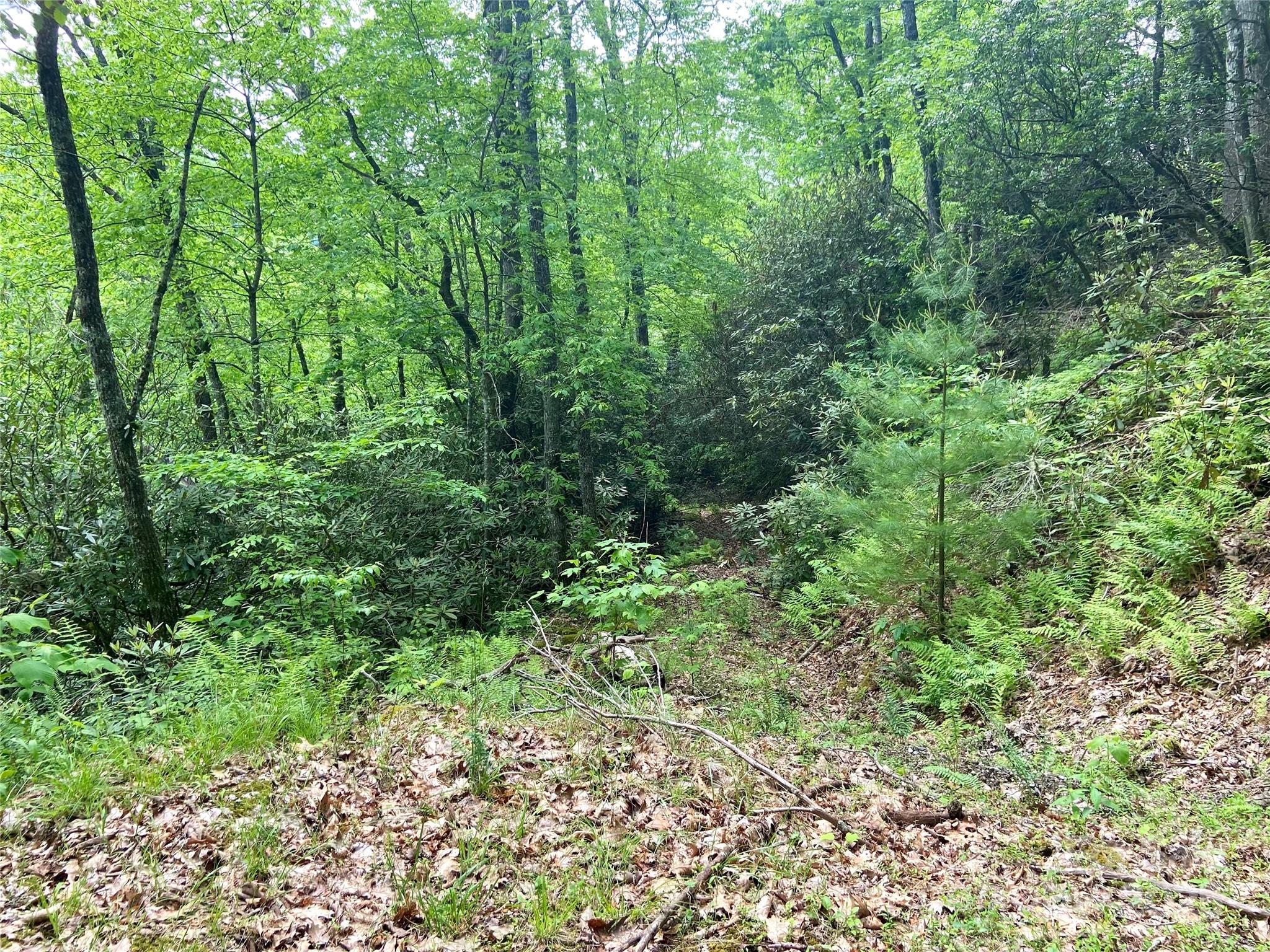 Lot 10 Mystic Forest Way 10 Property Photo 1