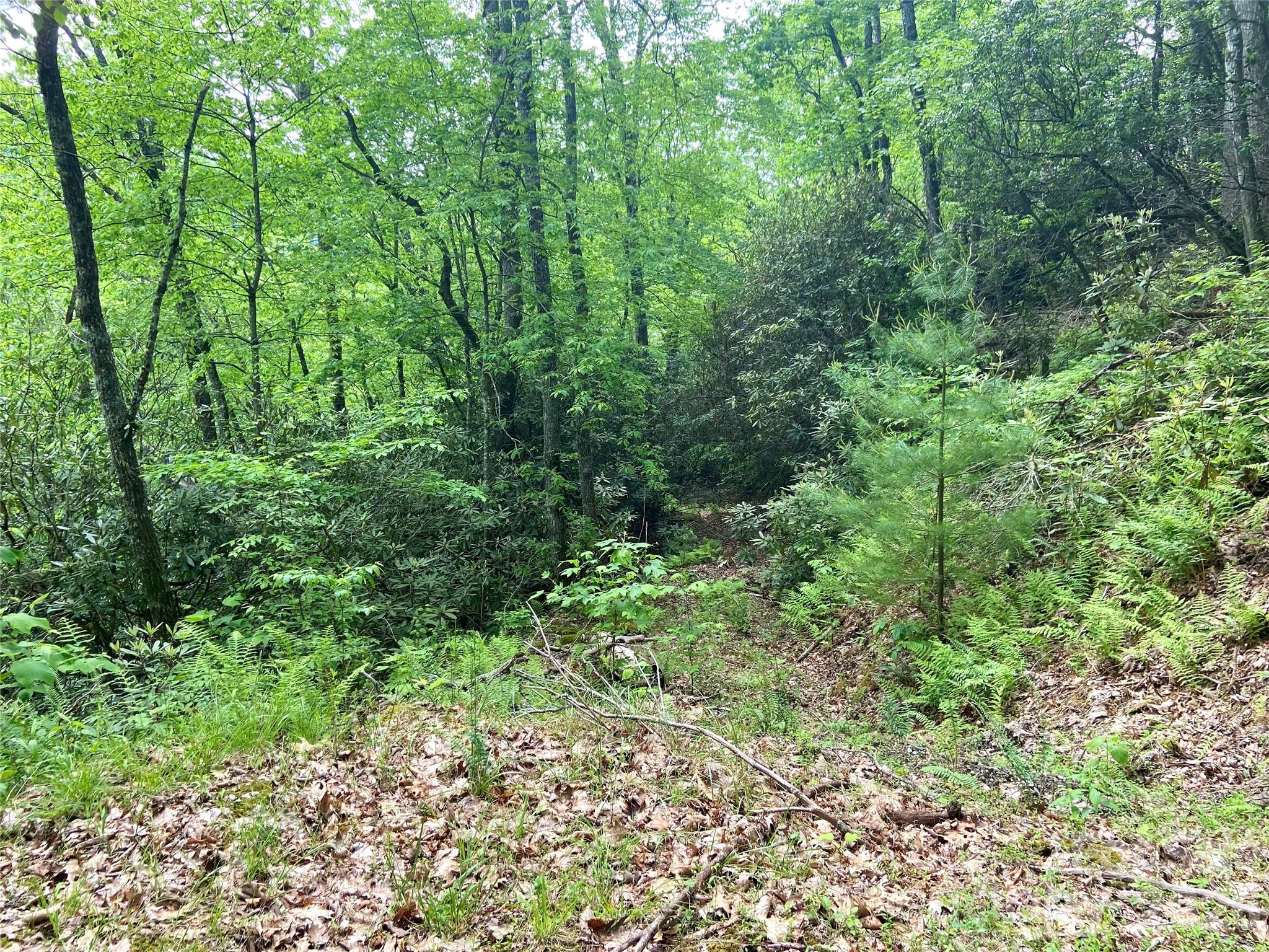 Lot 10 Mystic Forest Way 10 Property Photo 1