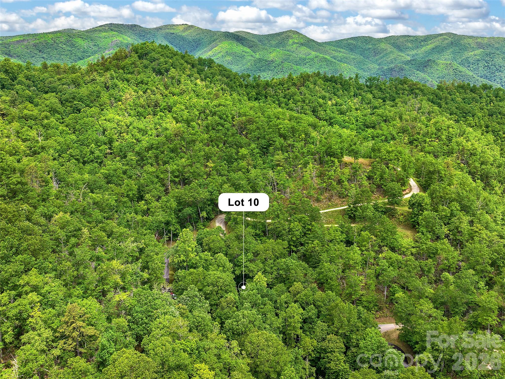 Lot 10 Mystic Forest Way 10 Property Photo 42
