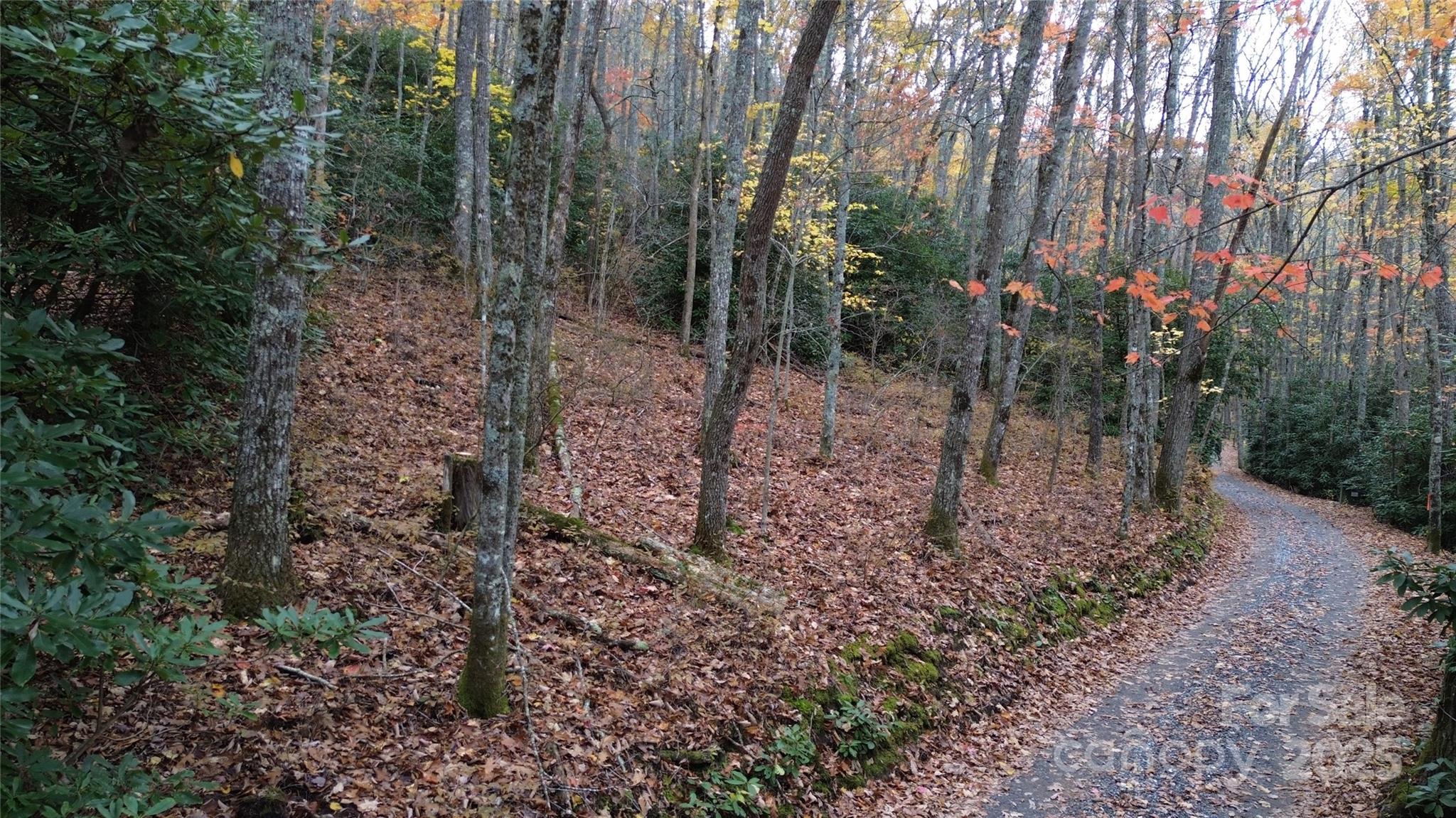Lt 7 Buck Knob None Property Photo 1