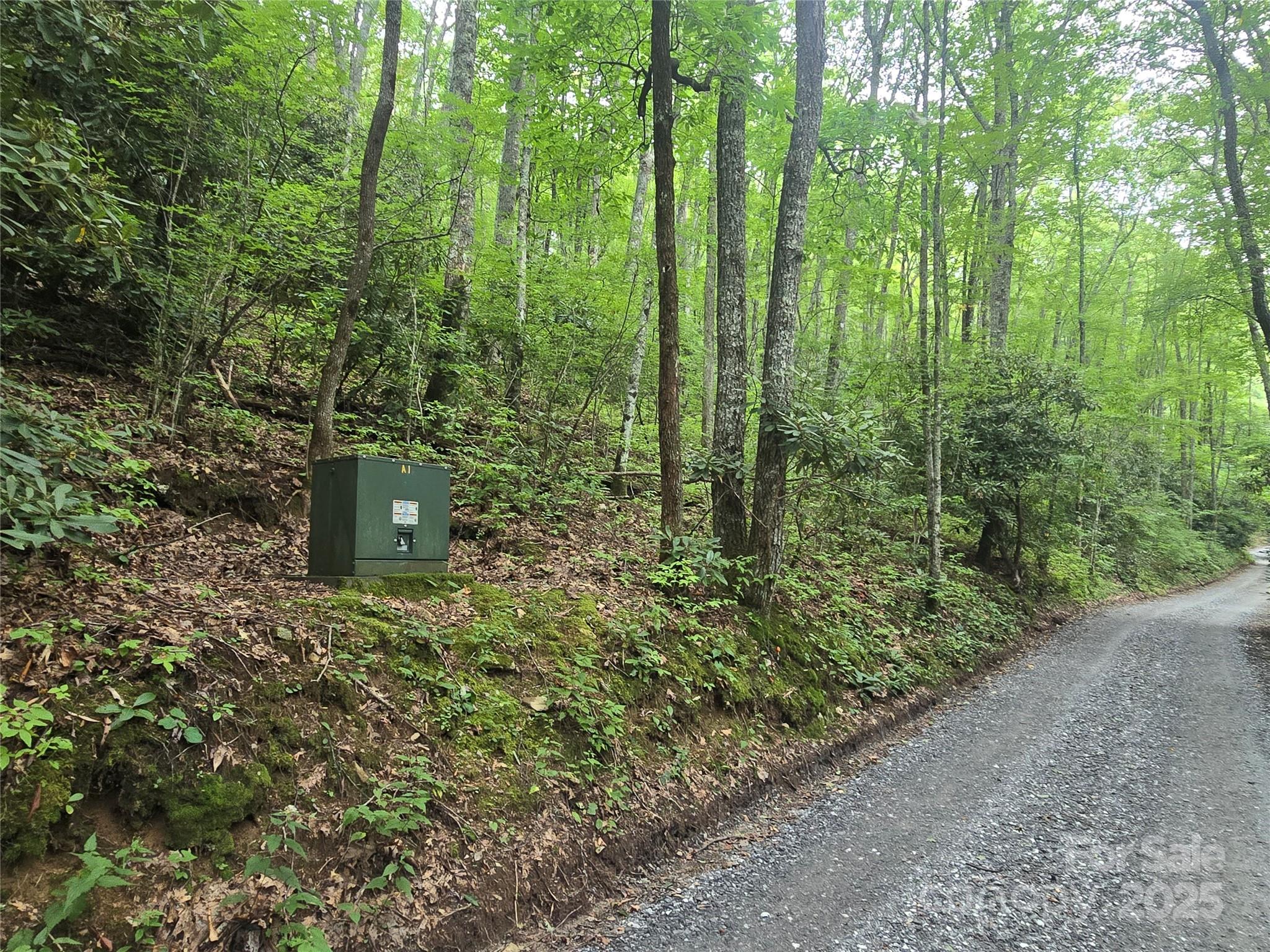 Lt 7 Buck Knob None Property Photo 2