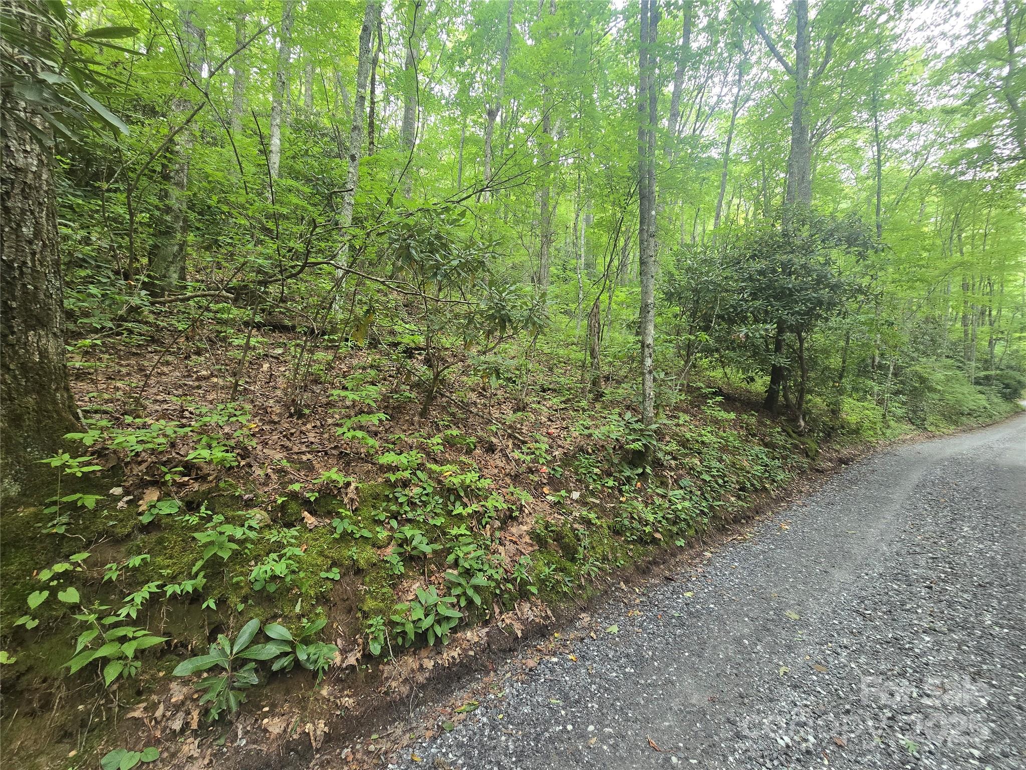 Lt 7 Buck Knob None Property Photo 6