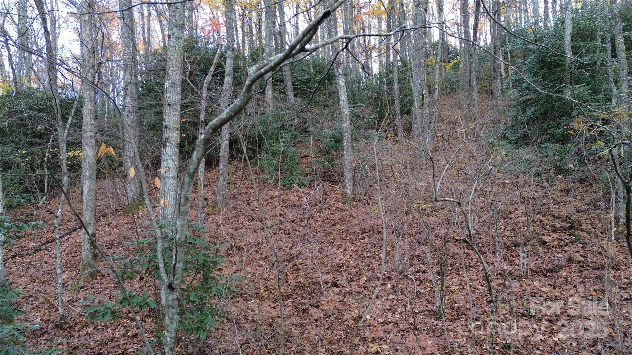 Lt 7 Buck Knob None Property Photo 7