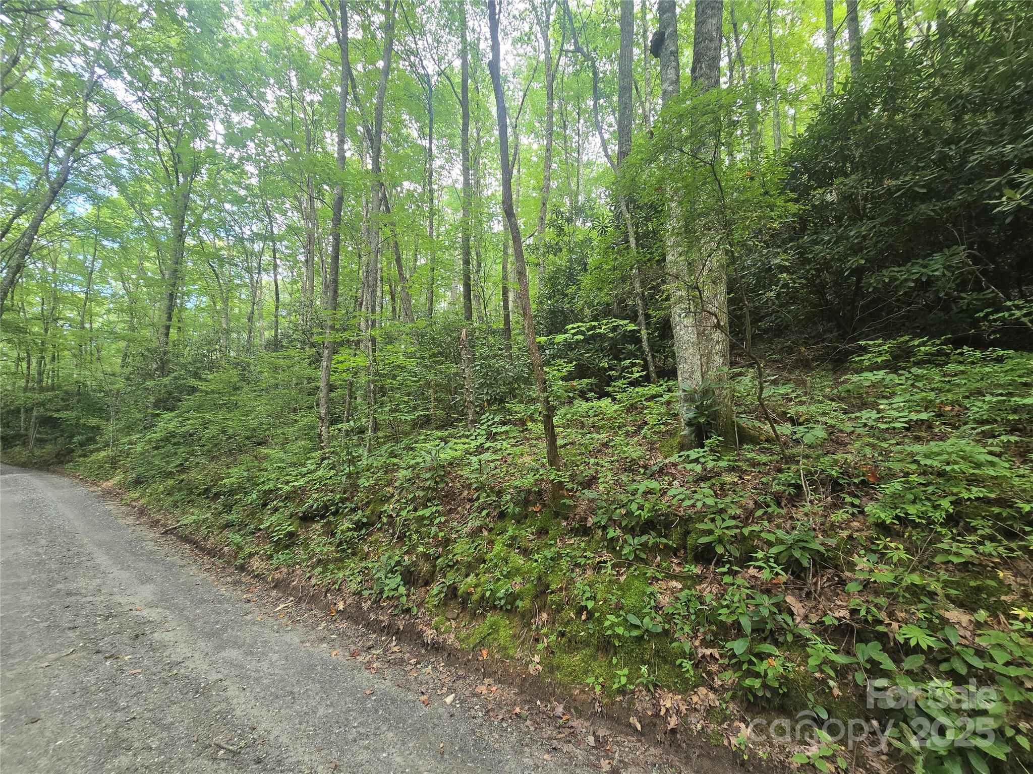 Lt 7 Buck Knob None Property Photo 8