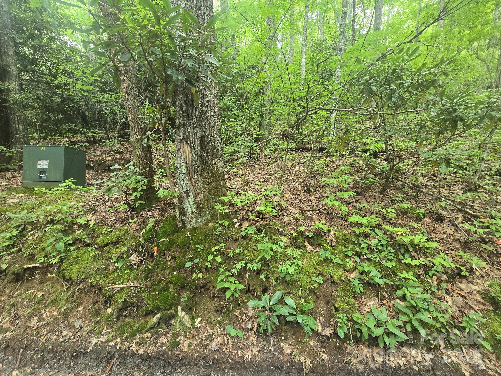Lt 7 Buck Knob None Property Photo 9