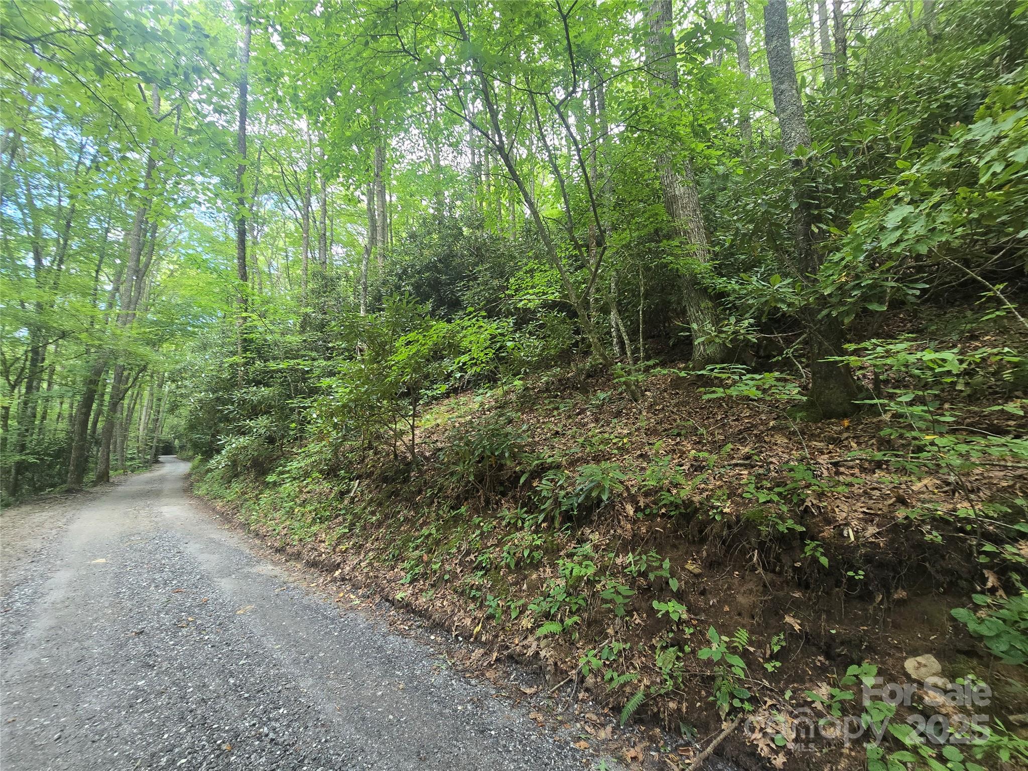 Lt 7 Buck Knob None Property Photo 10