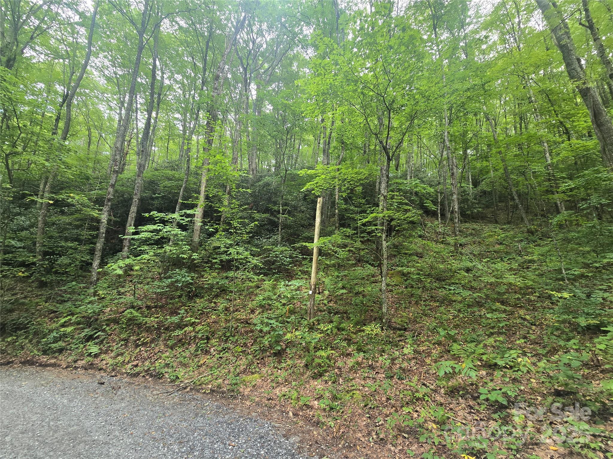 Lt 7 Buck Knob None Property Photo 12