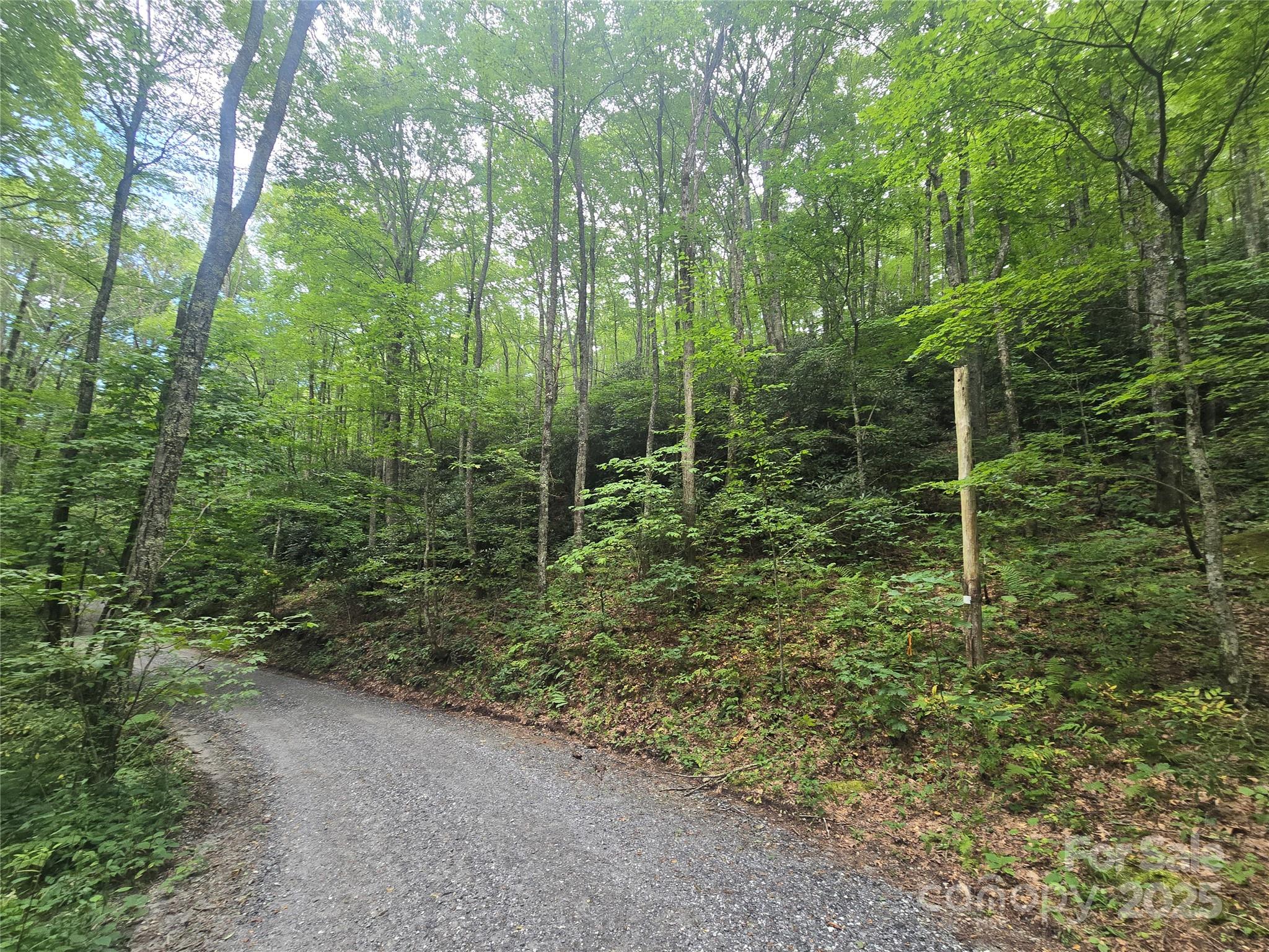 Lt 7 Buck Knob None Property Photo 13