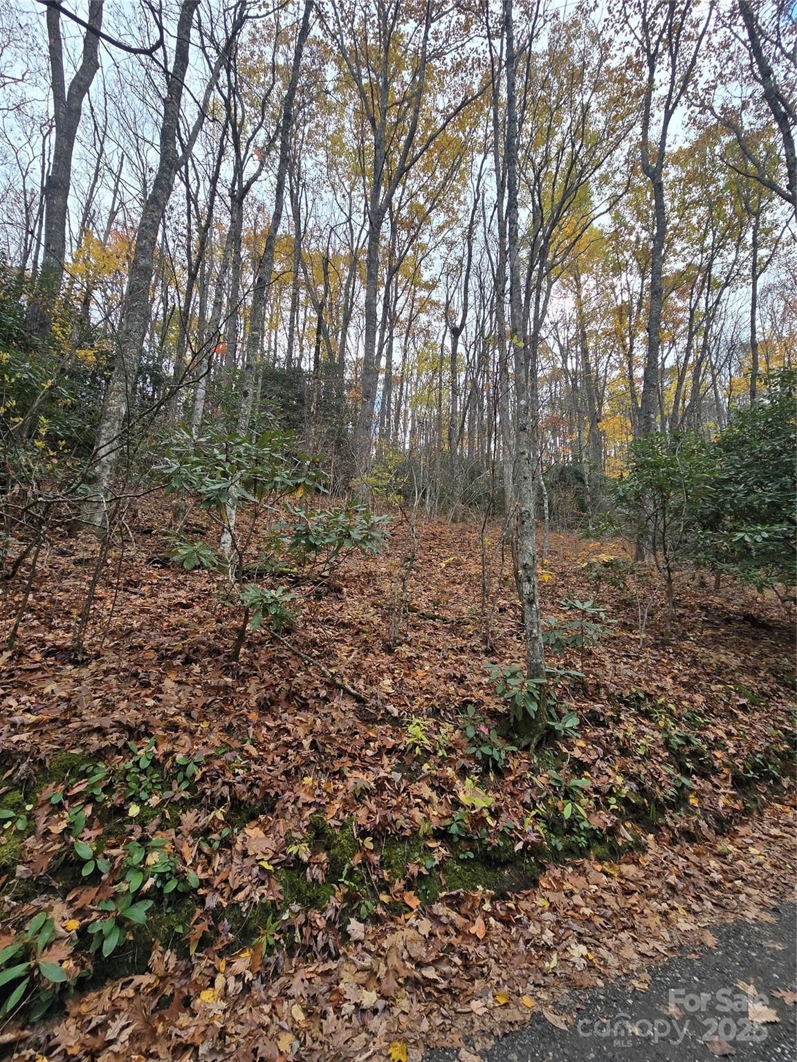 Lt 7 Buck Knob None Property Photo 14