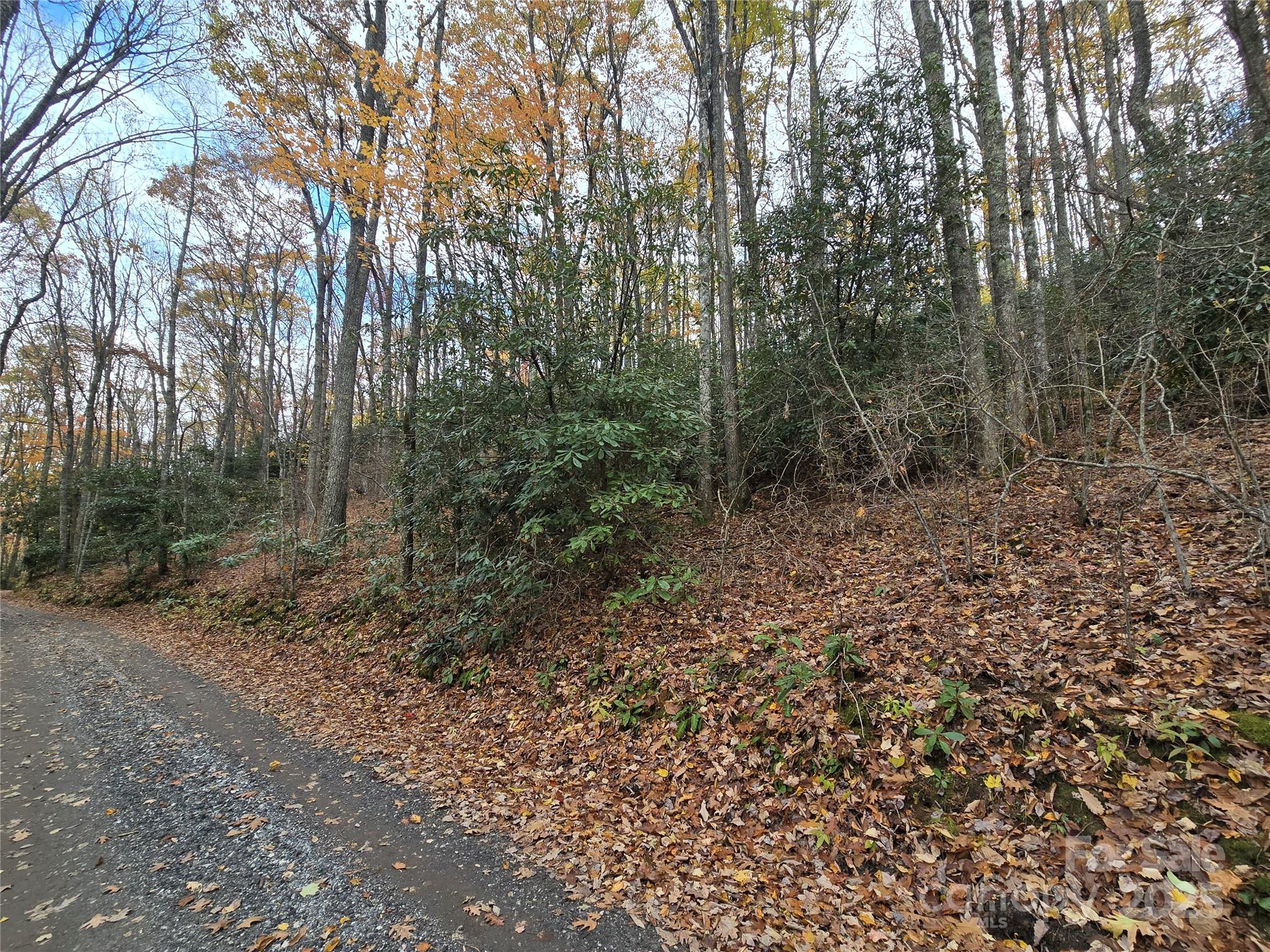 Lt 7 Buck Knob None Property Photo 15