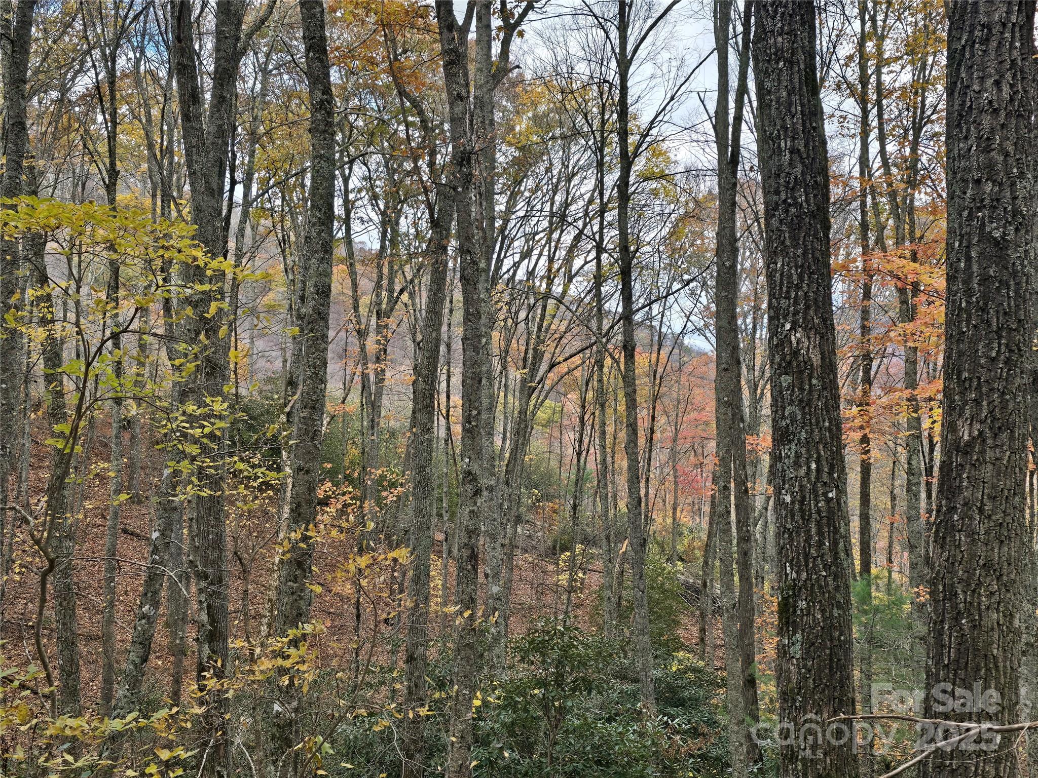 Lt 7 Buck Knob None Property Photo 17