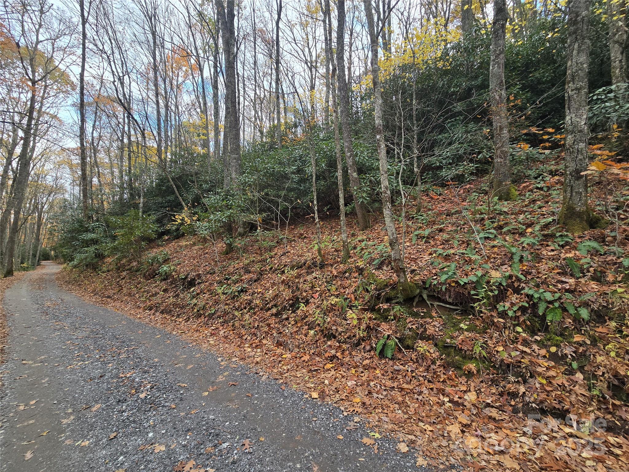 Lt 7 Buck Knob None Property Photo 18