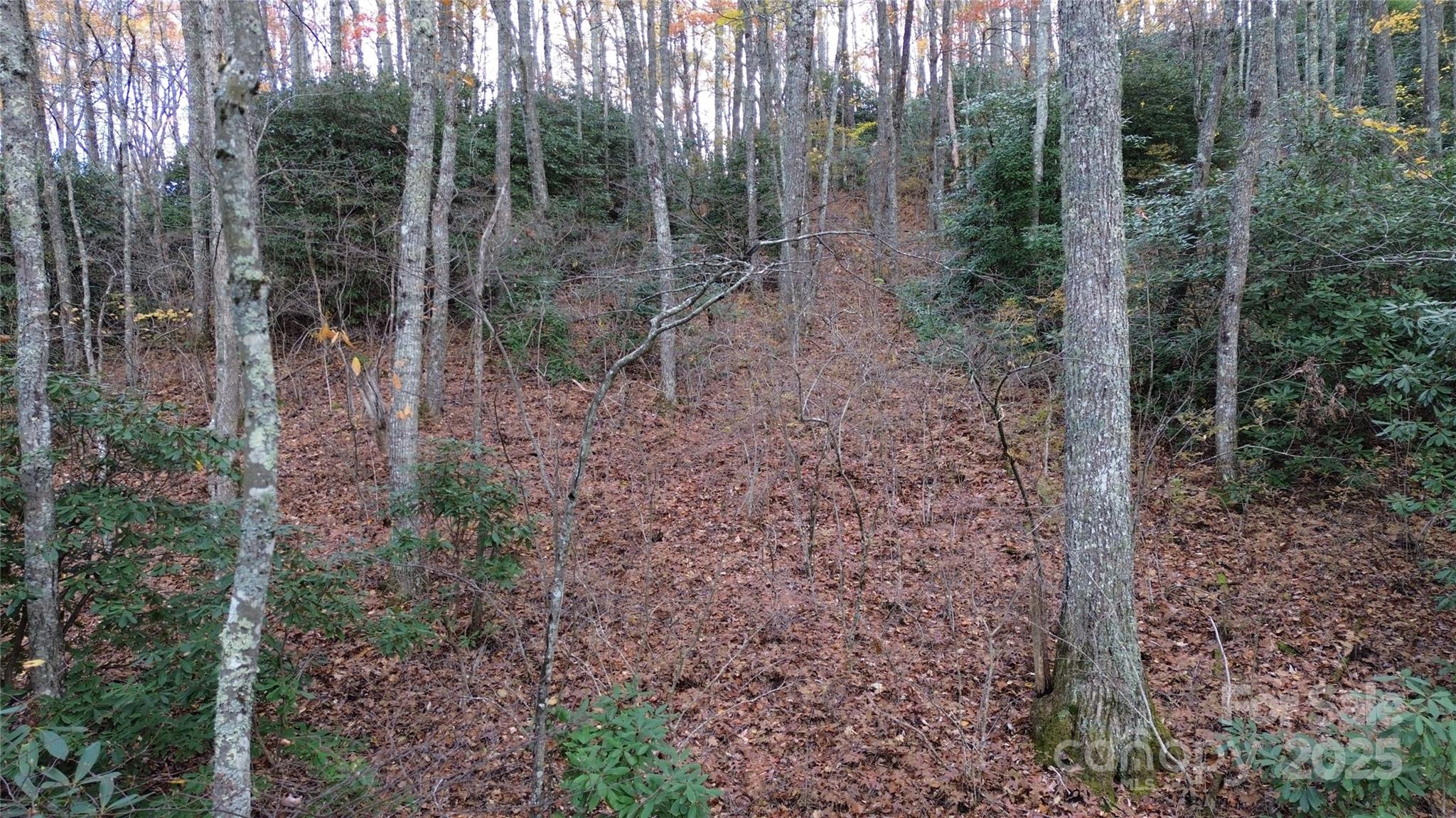 Lt 7 Buck Knob None Property Photo 19