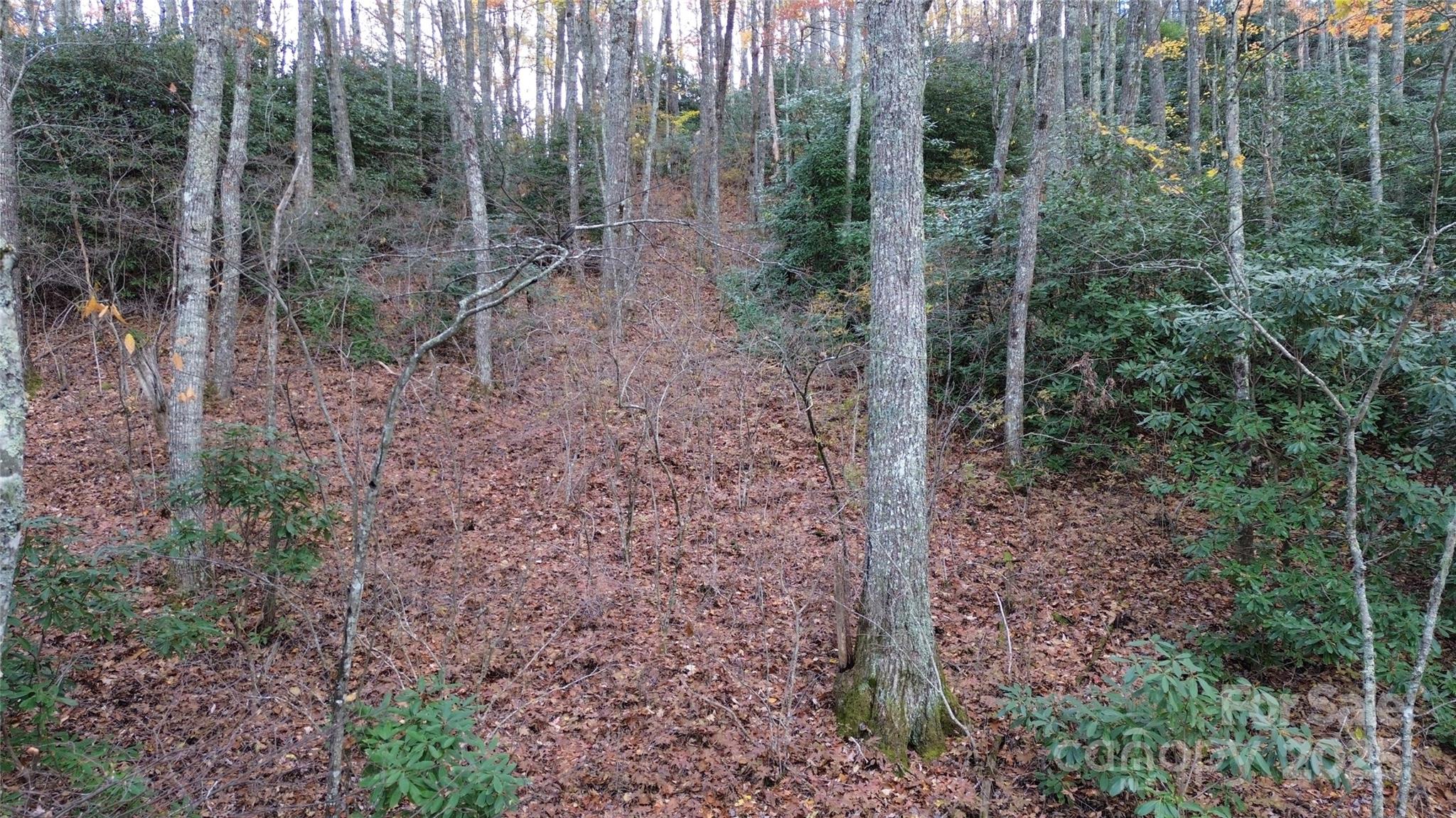 Lt 7 Buck Knob None Property Photo 21