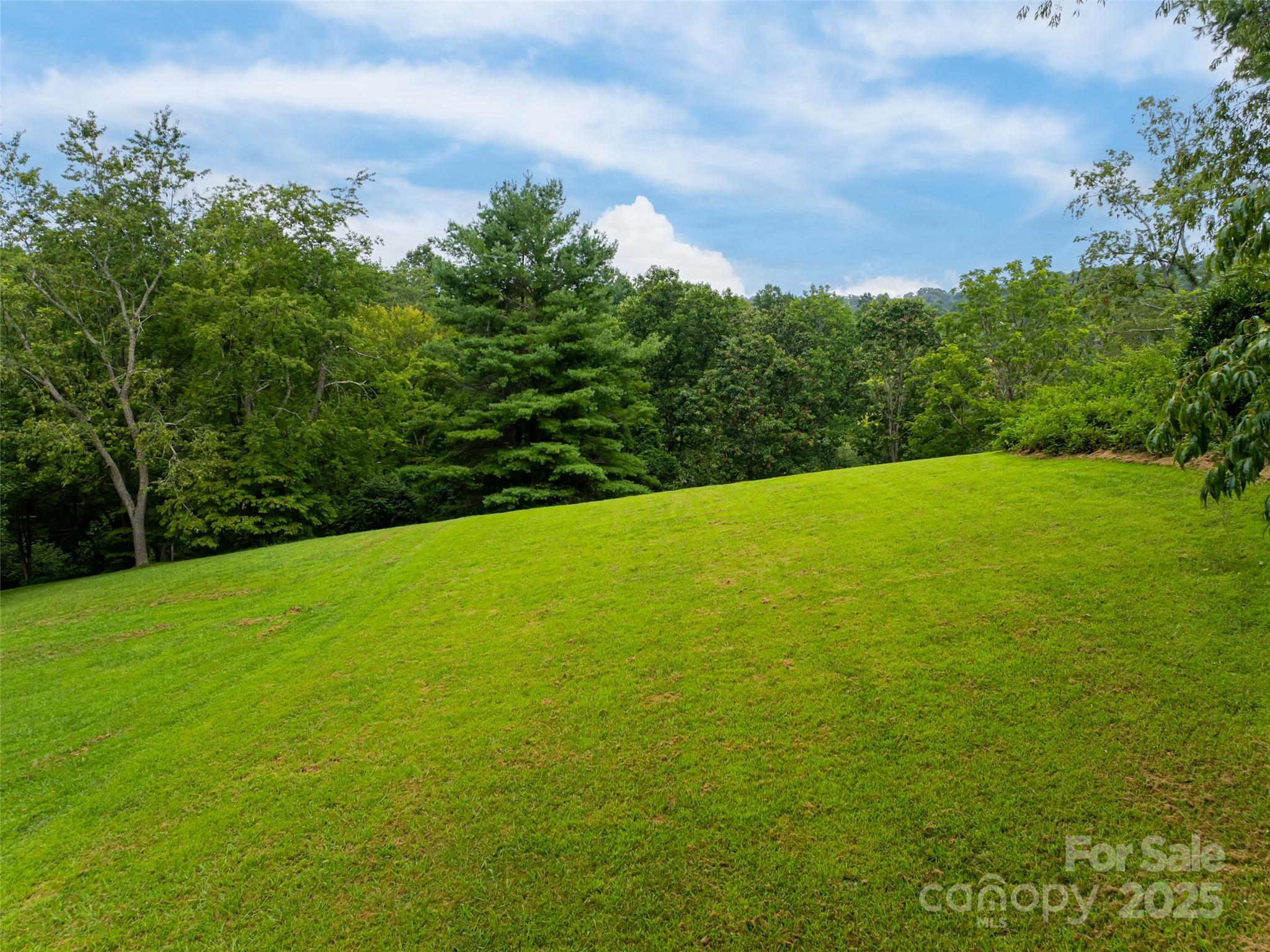 91 Carter Cove Road Property Photo 46