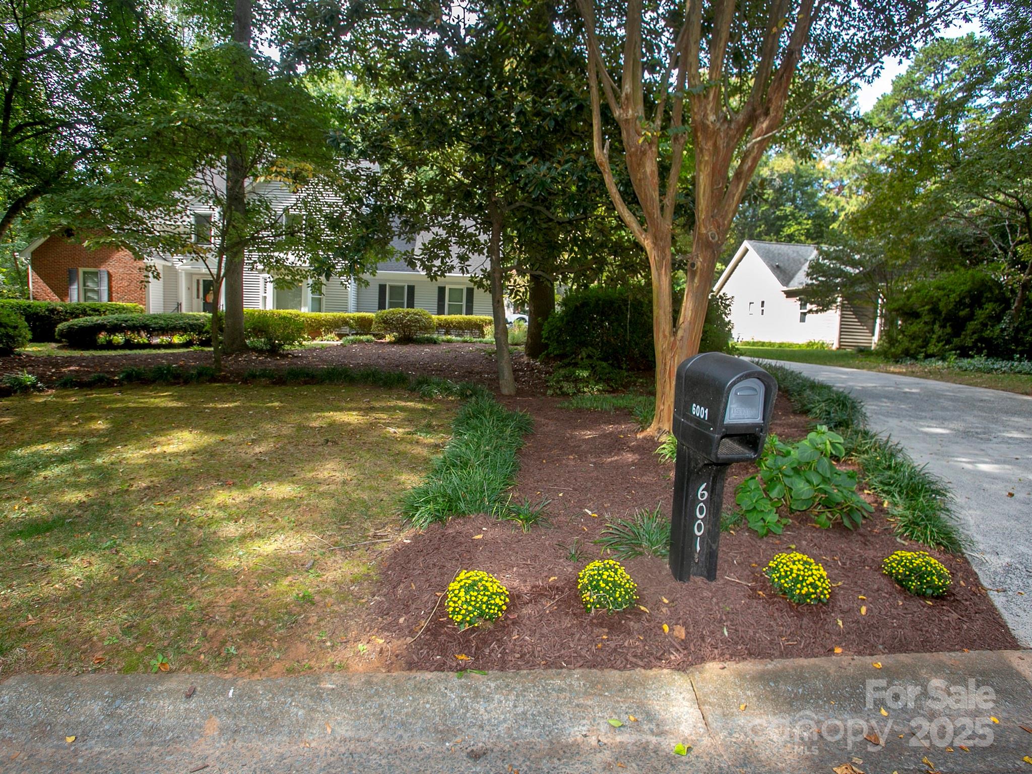 6001 Gold Wagon Lane Property Photo 3