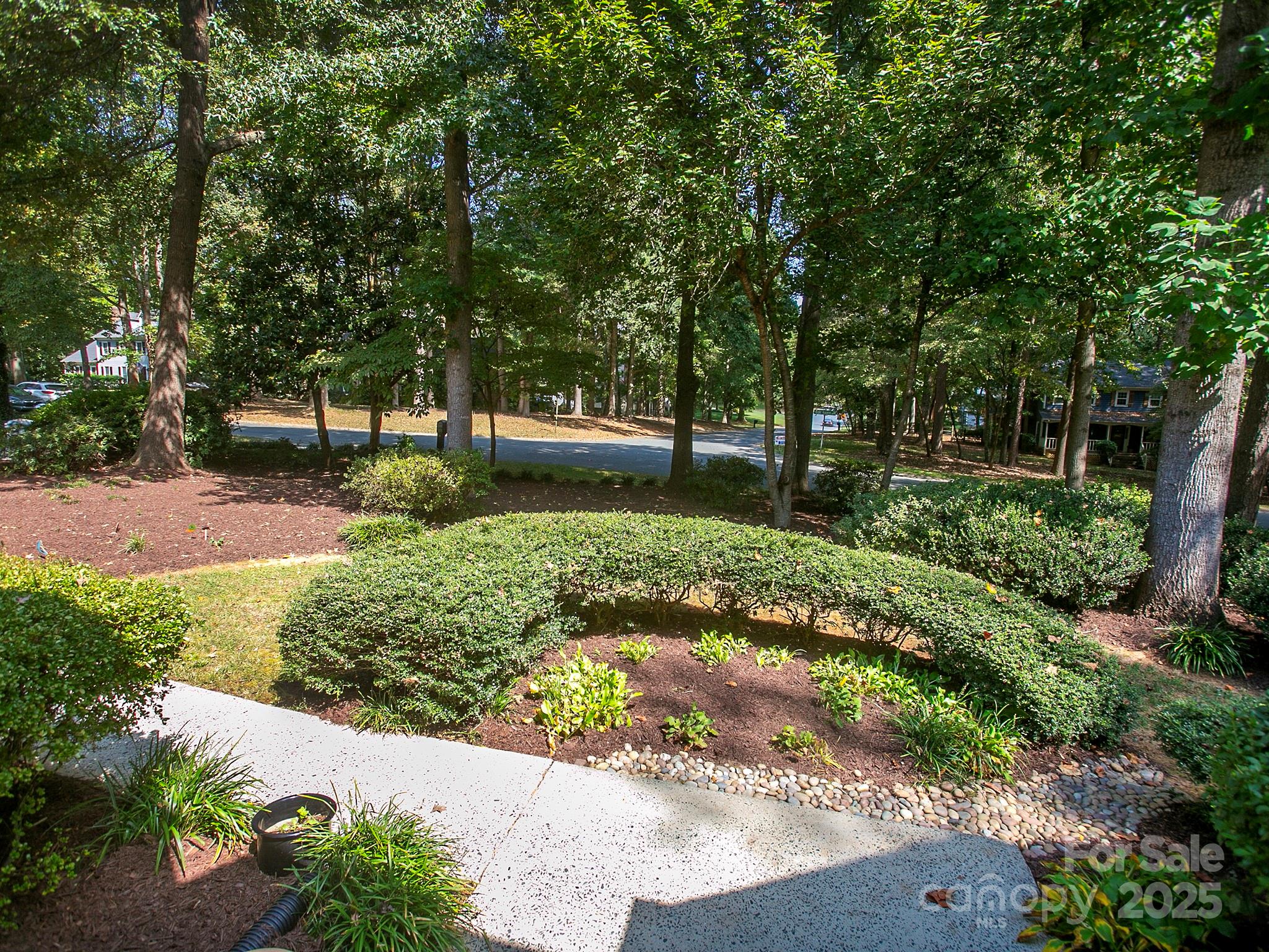 6001 Gold Wagon Lane Property Photo 5