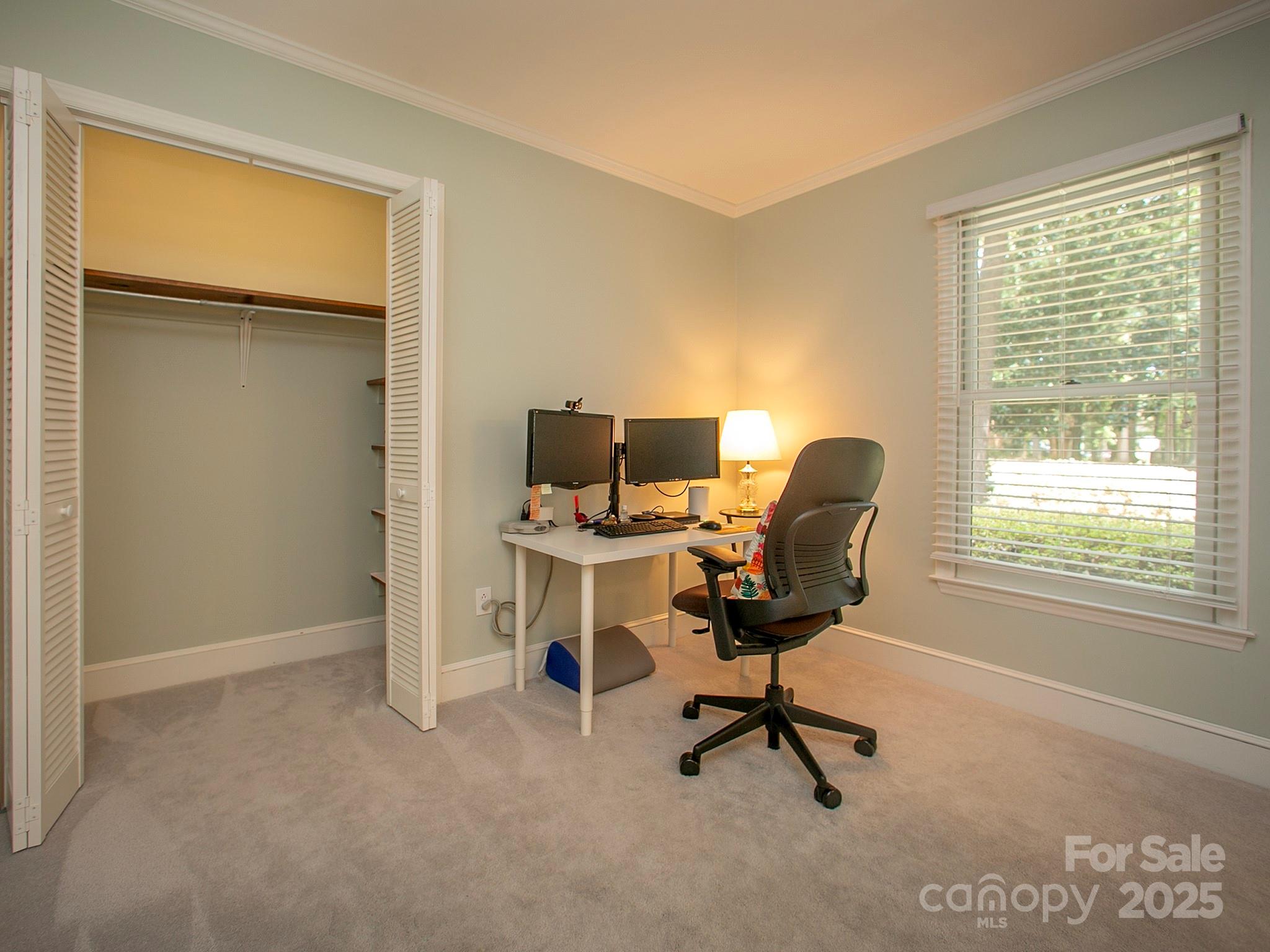 6001 Gold Wagon Lane Property Photo 17