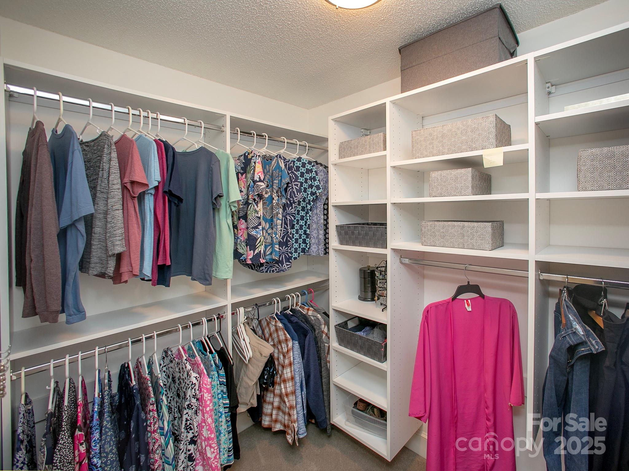 6001 Gold Wagon Lane Property Photo 24