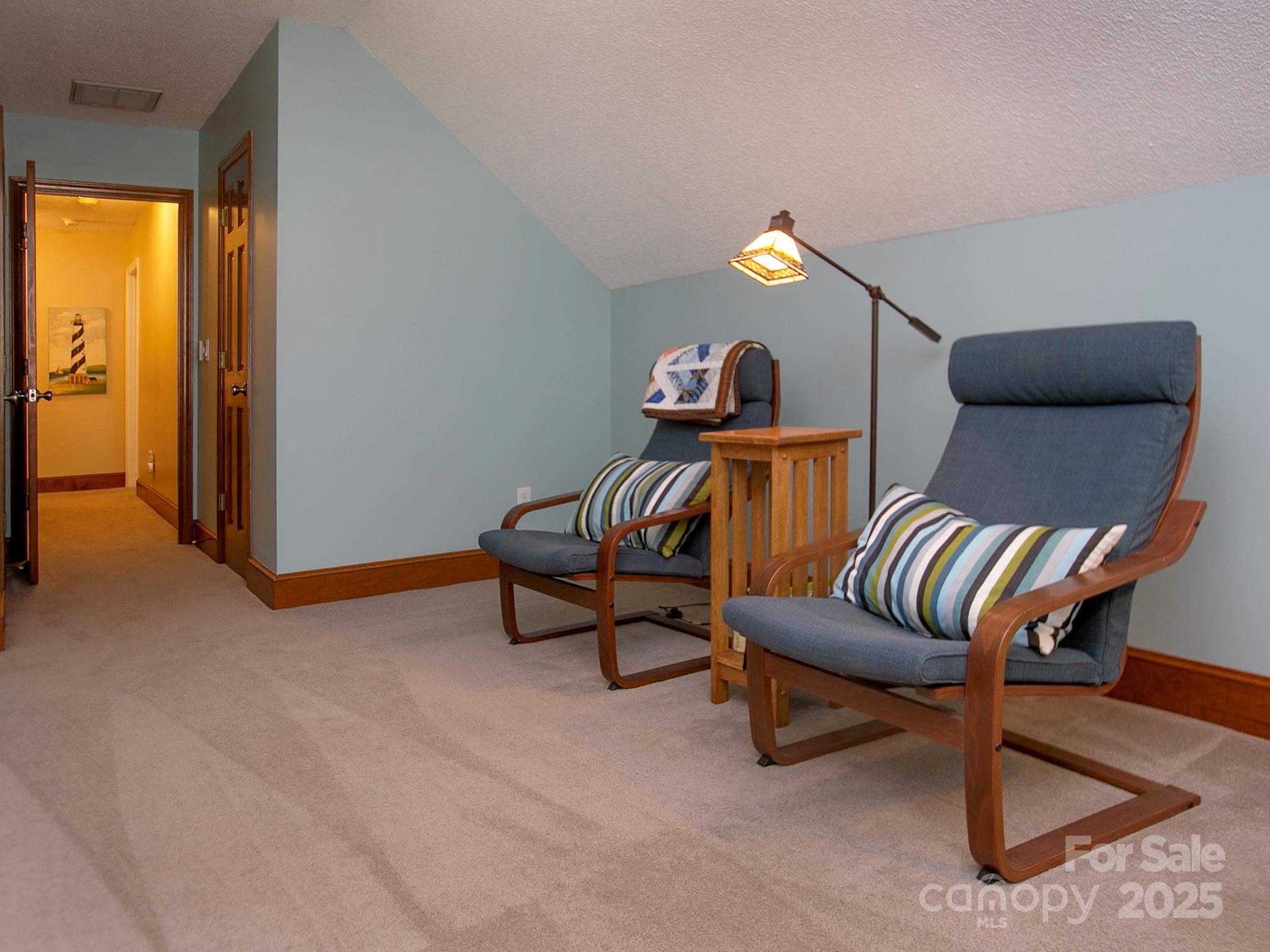 6001 Gold Wagon Lane Property Photo 36