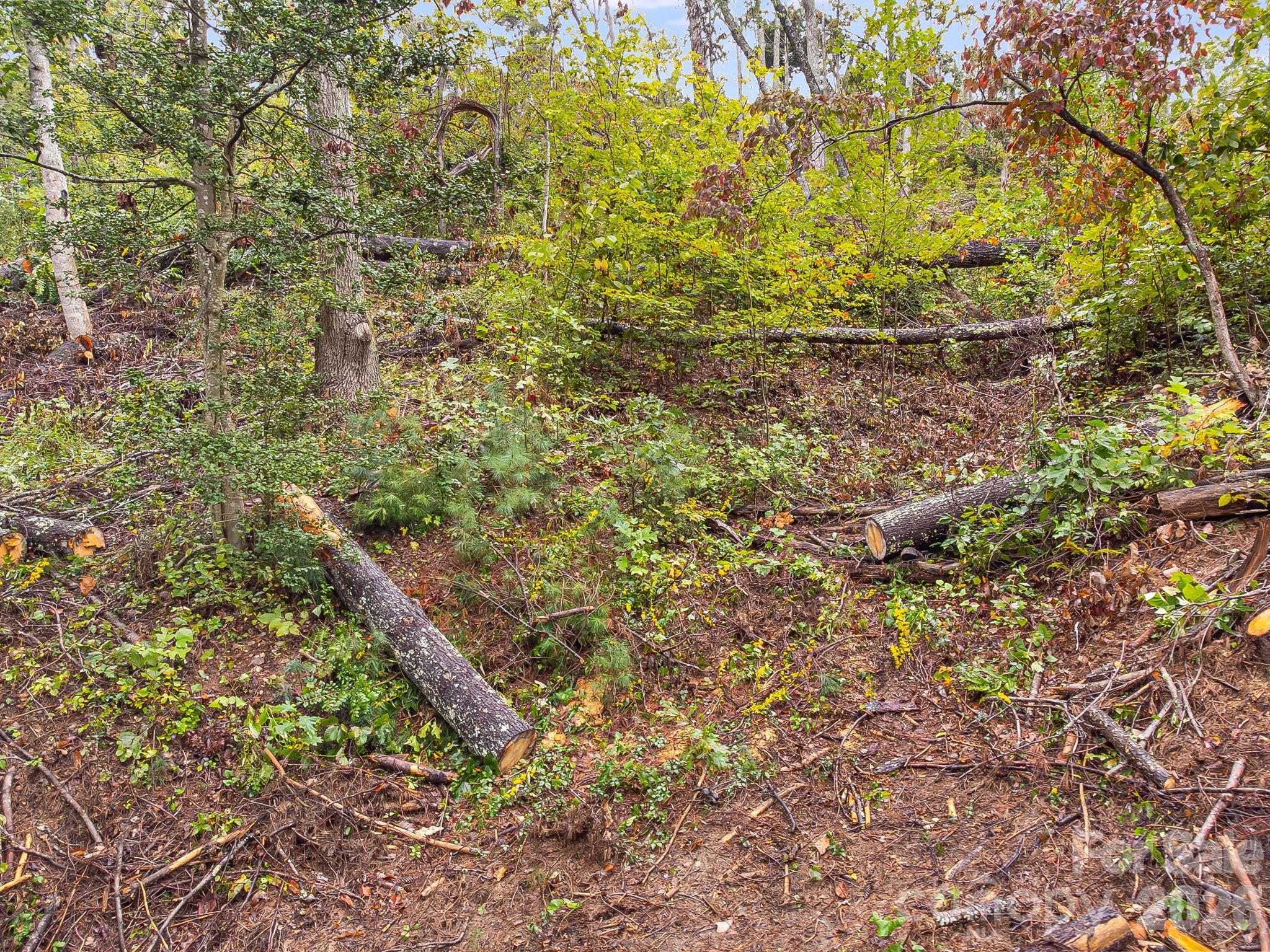 99999 Beaverbrook Road 2 Property Photo 4