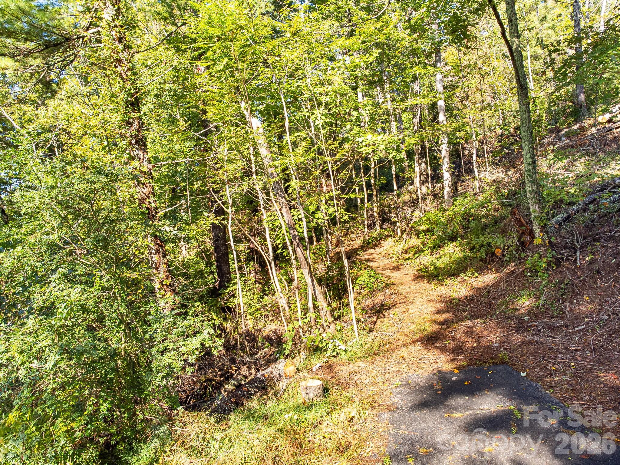 99999 Beaverbrook Road 2 Property Photo 5