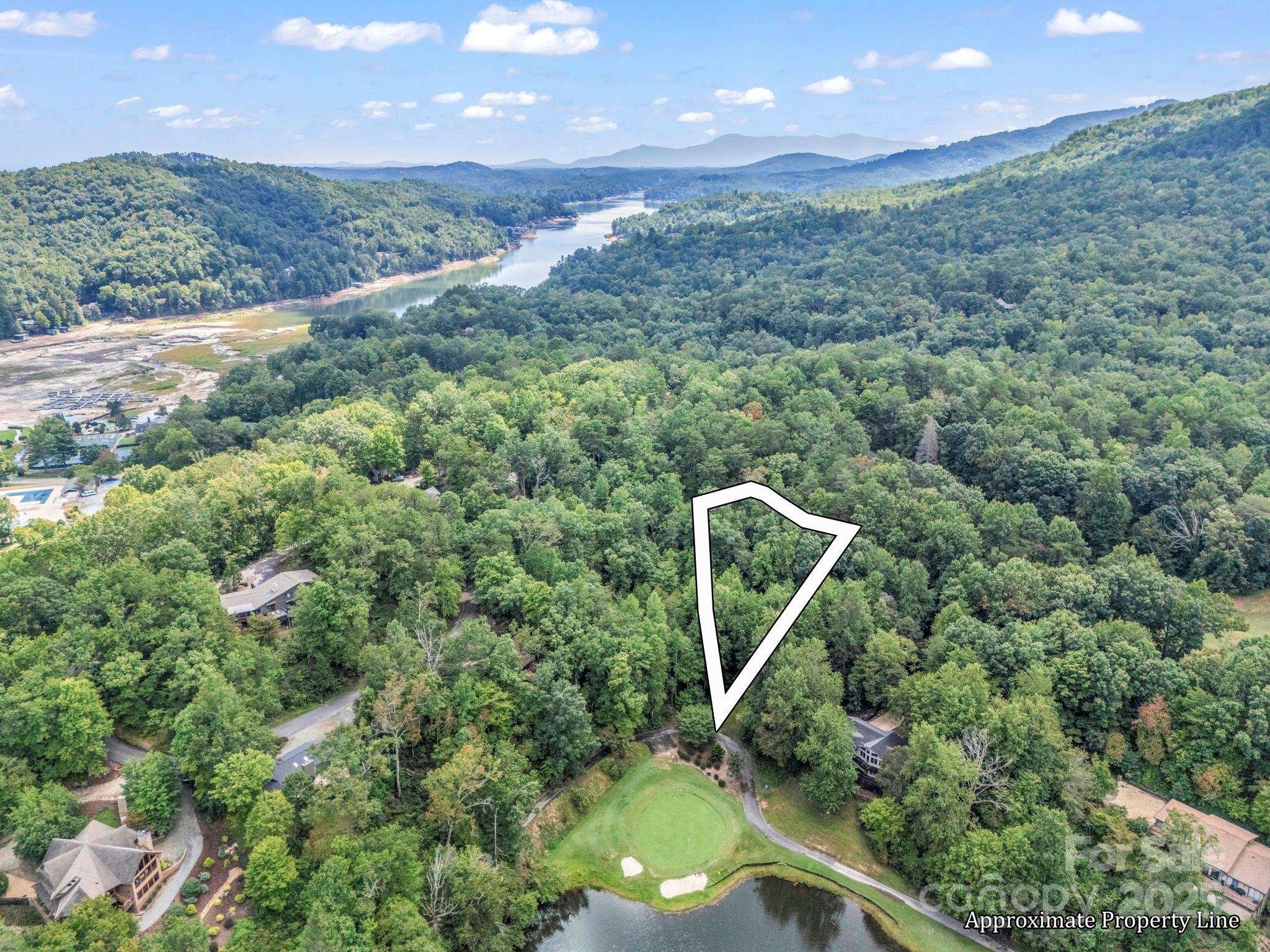 36 Bee Tree Point Court Property Photo 2