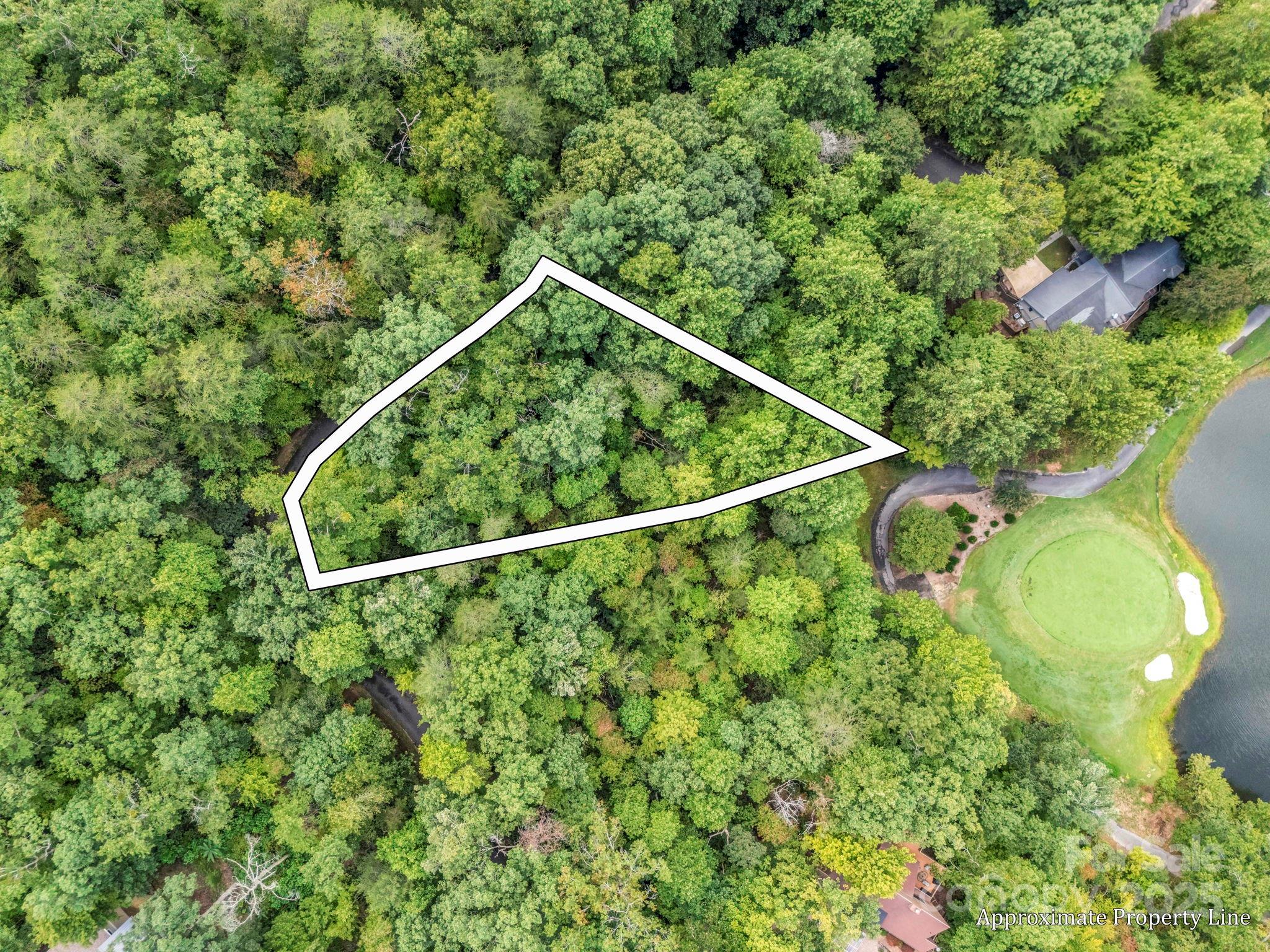 36 Bee Tree Point Court Property Photo 3