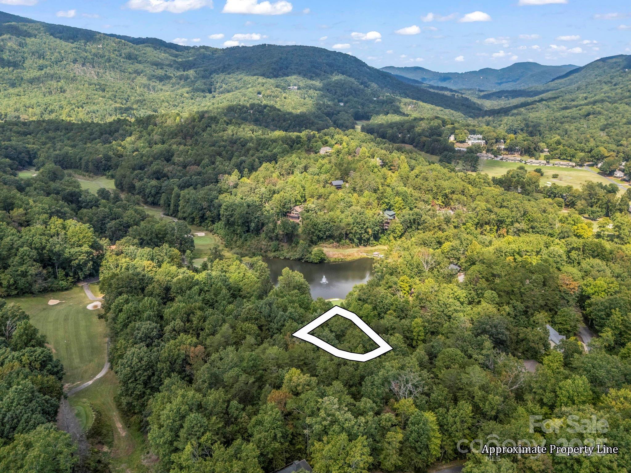 36 Bee Tree Point Court Property Photo 5