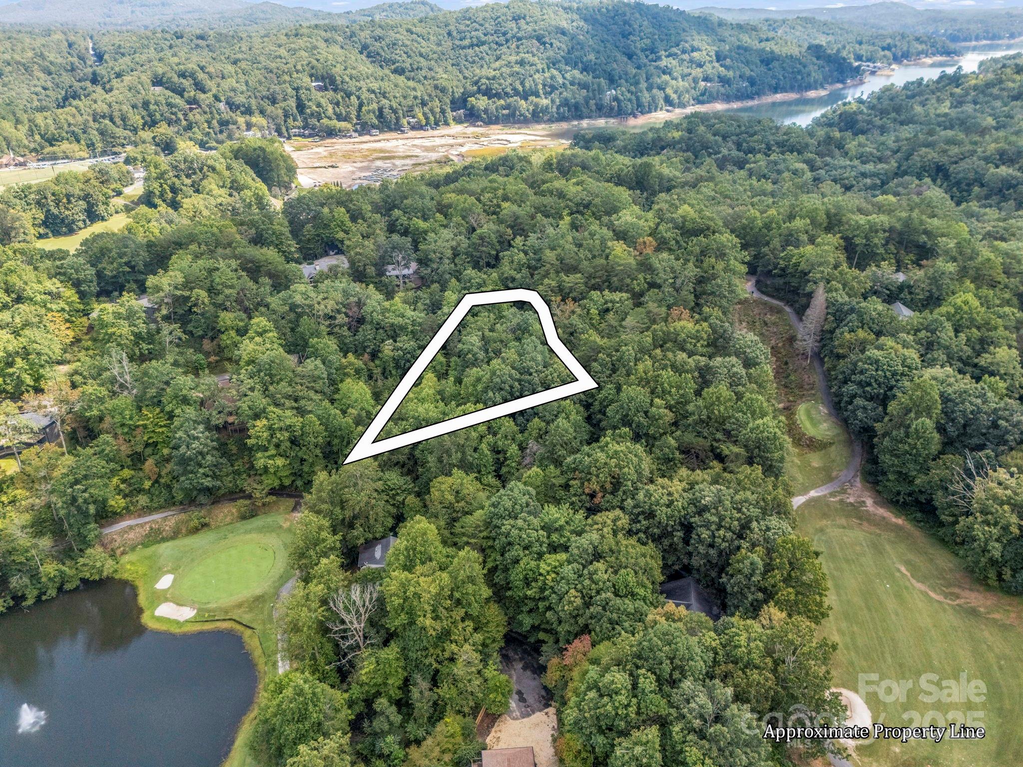 36 Bee Tree Point Court Property Photo 6