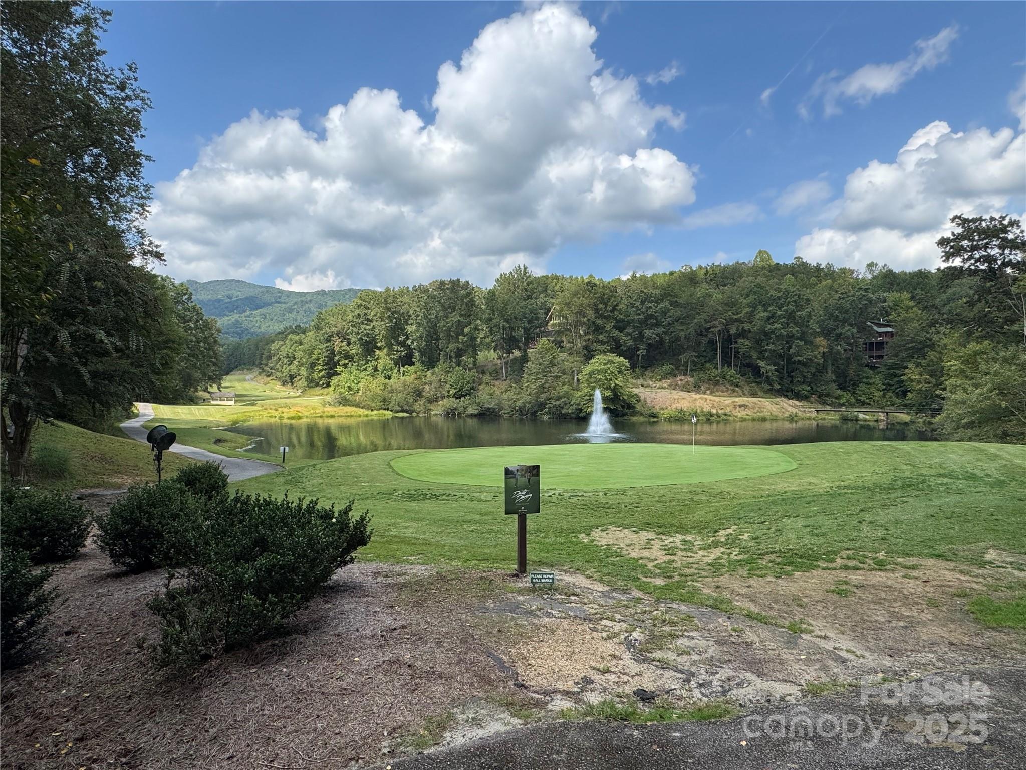 36 Bee Tree Point Court Property Photo 8