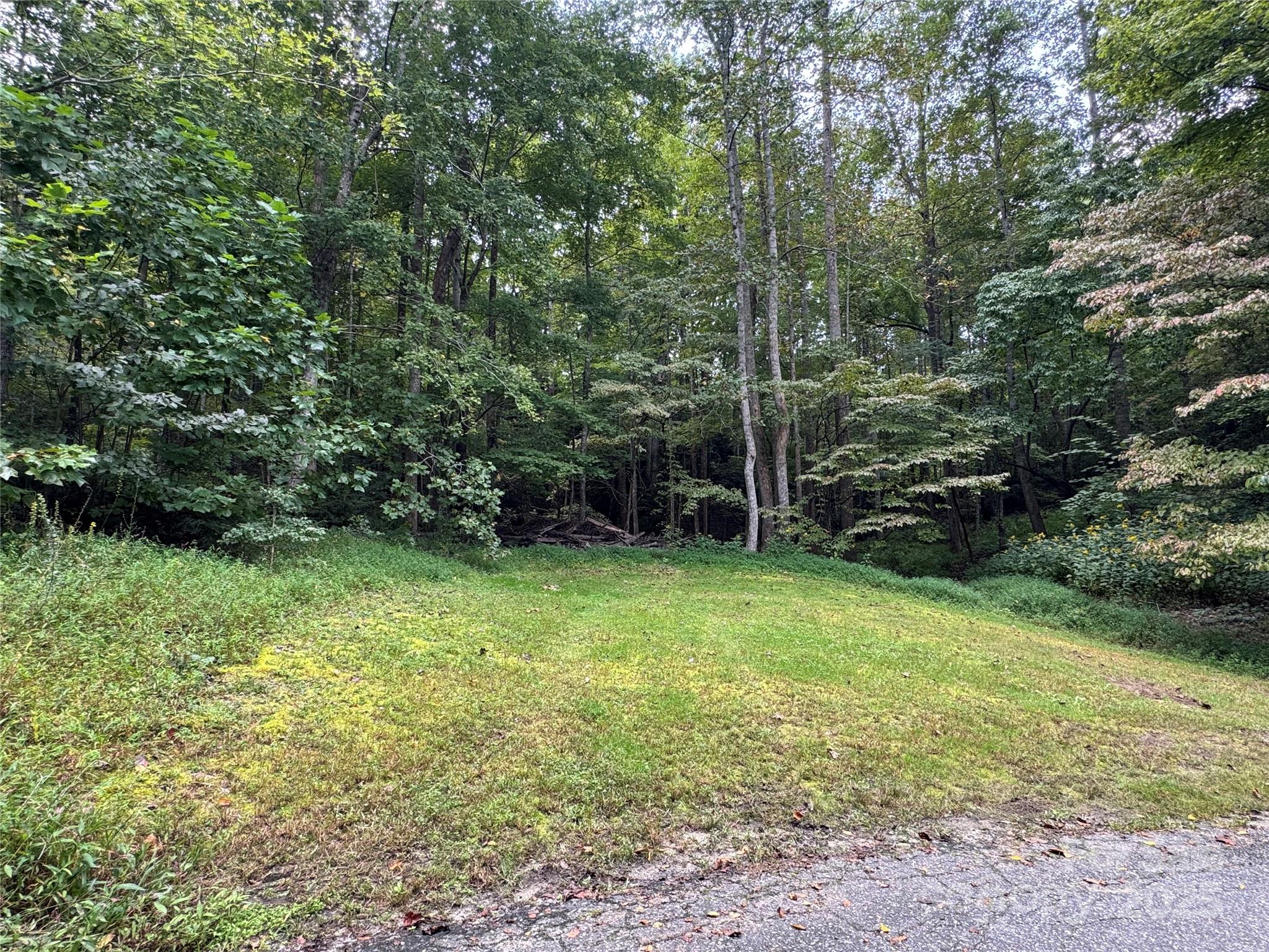 36 Bee Tree Point Court Property Photo 9